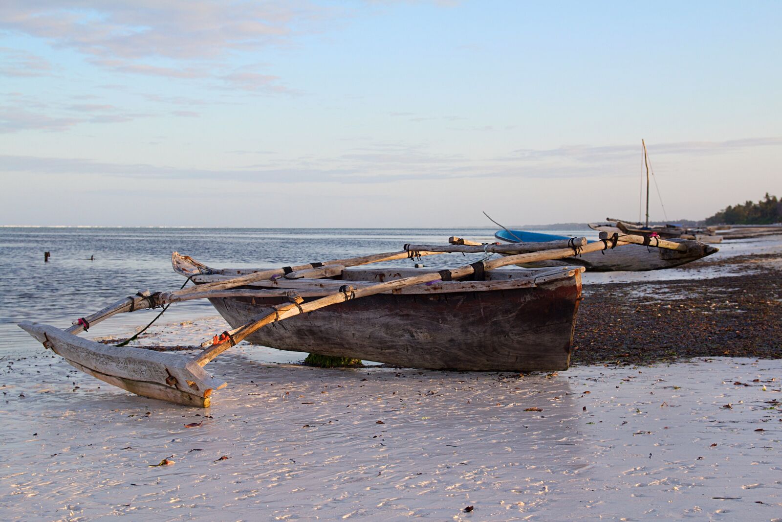 Canon EOS 600D (Rebel EOS T3i / EOS Kiss X5) sample photo. Tanzania, zanzibar, africa photography