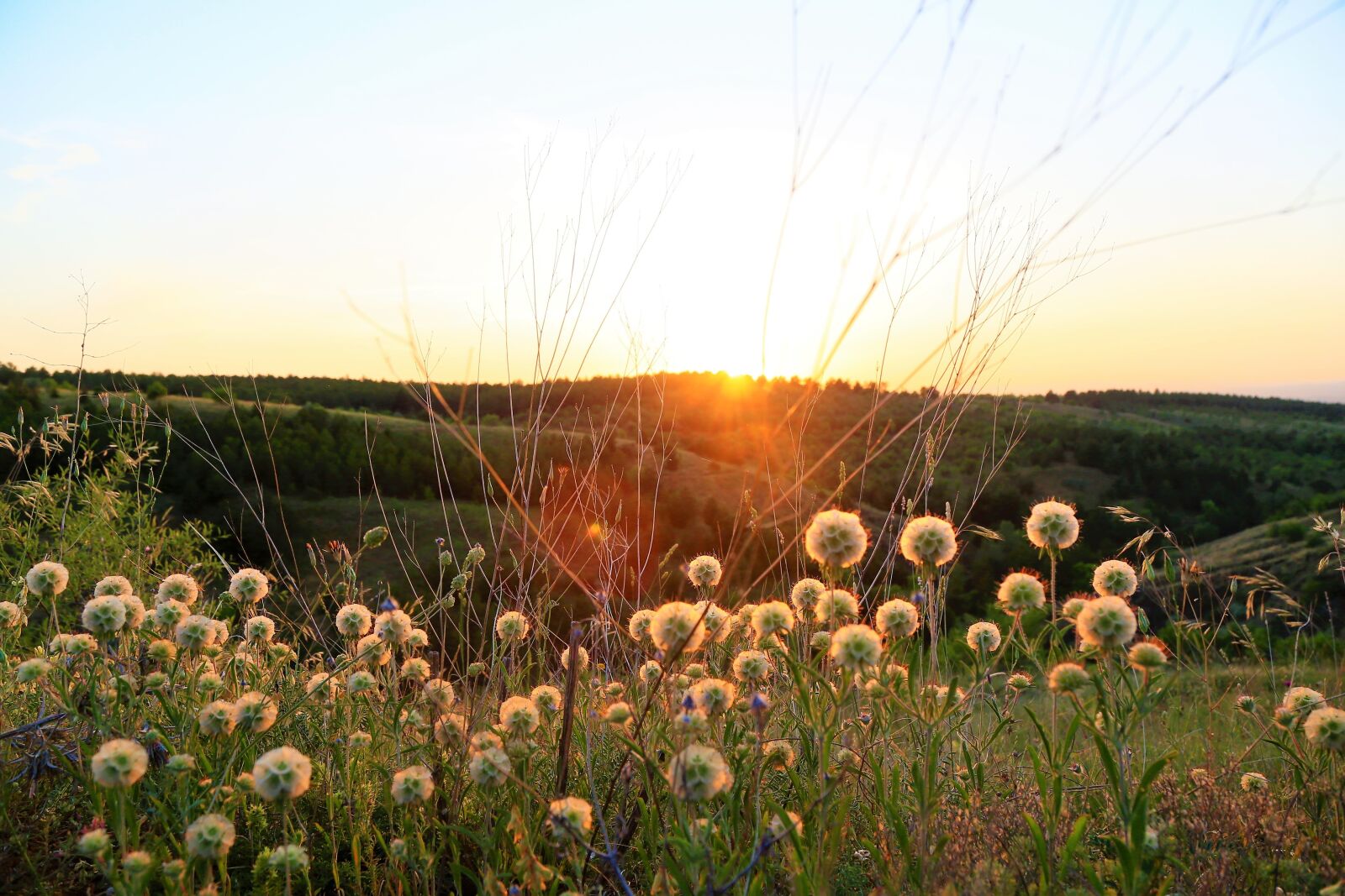 Canon EF 24-105mm F4L IS USM sample photo. Sunset, nature, spring photography