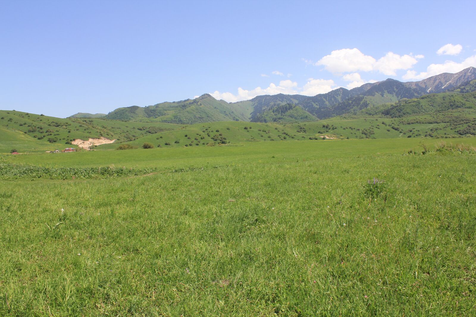 Canon EOS 550D (EOS Rebel T2i / EOS Kiss X4) sample photo. Mountains, grass, landscape photography