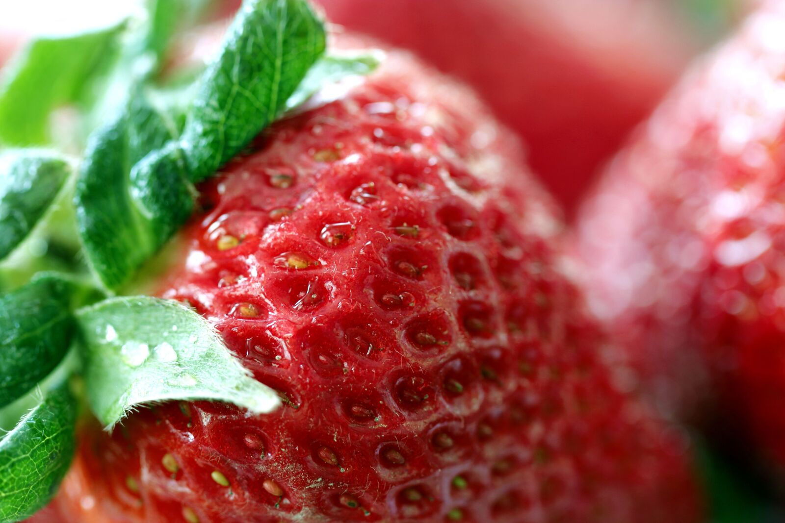 Canon EOS 600D (Rebel EOS T3i / EOS Kiss X5) sample photo. Red, ripe, strawberry, revealing photography