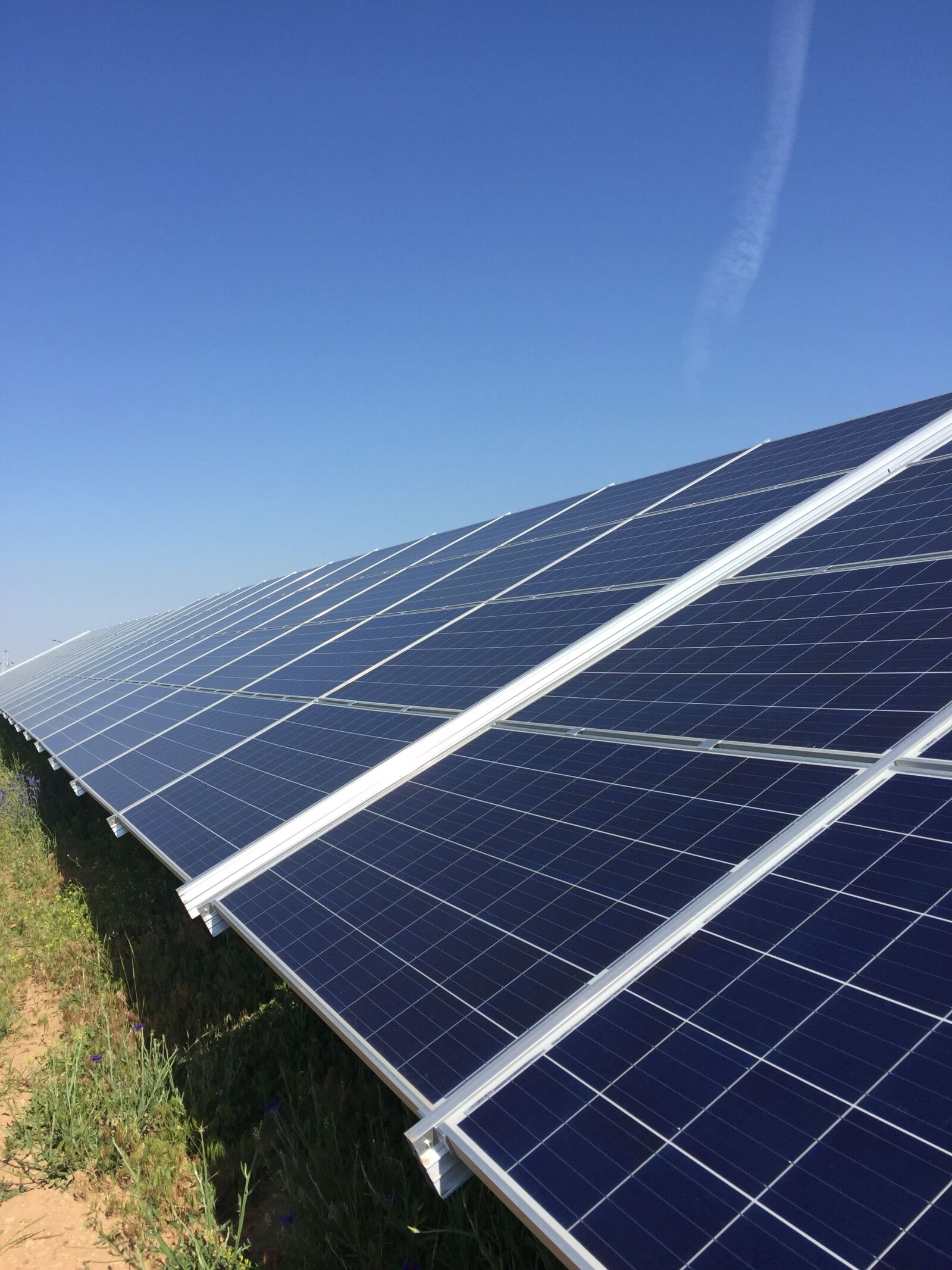 iPhone 6 Plus back camera 4.15mm f/2.2 sample photo. Solar, panel, solar panels photography