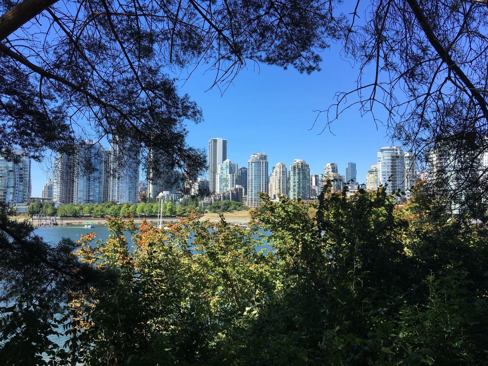 Apple iPhone 6s sample photo. City, vancouver, bc photography