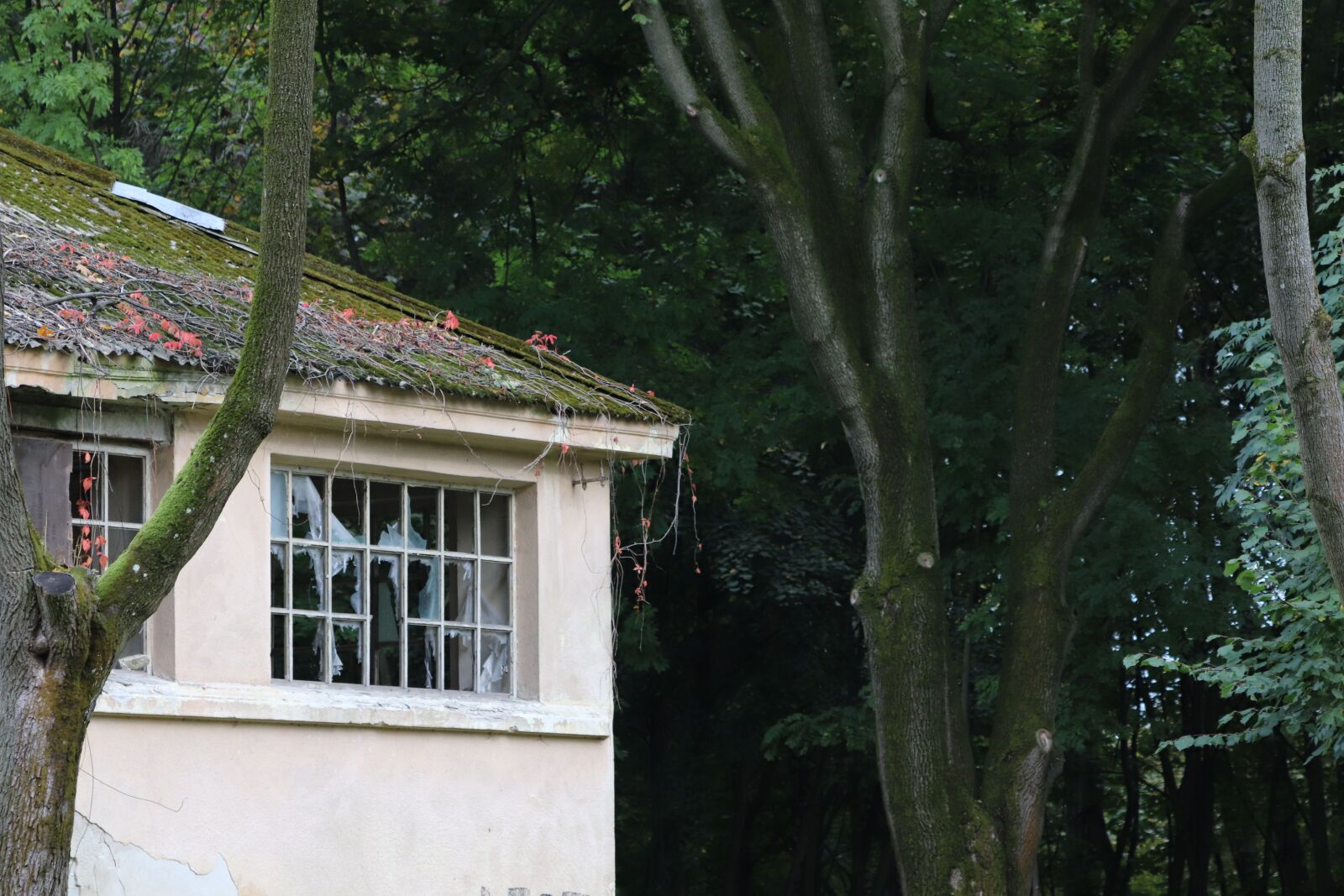 Canon EF 70-300 F4-5.6 IS II USM sample photo. House, old house, architecture photography