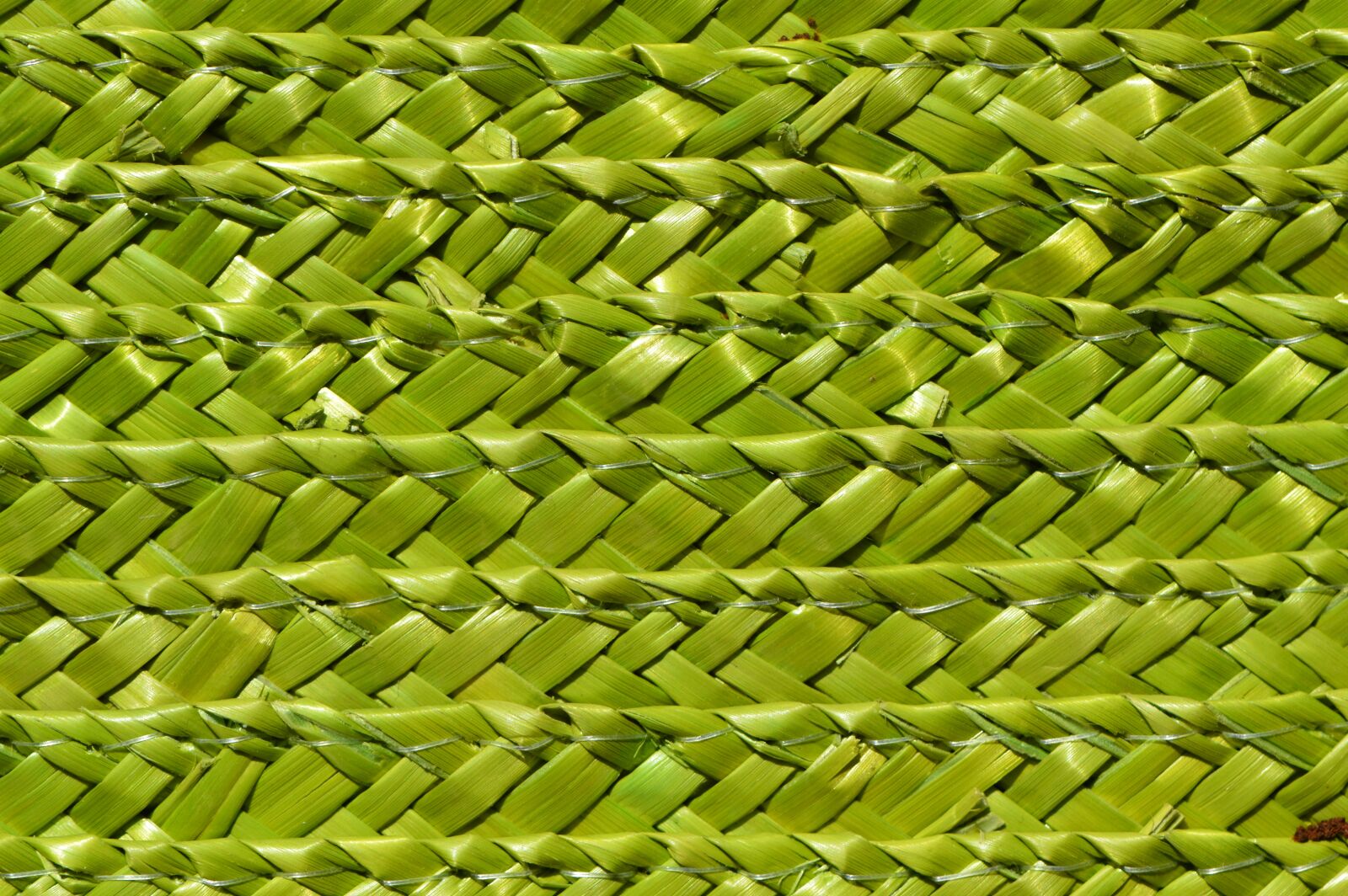 Nikon D3200 sample photo. Basket, woven, braid photography