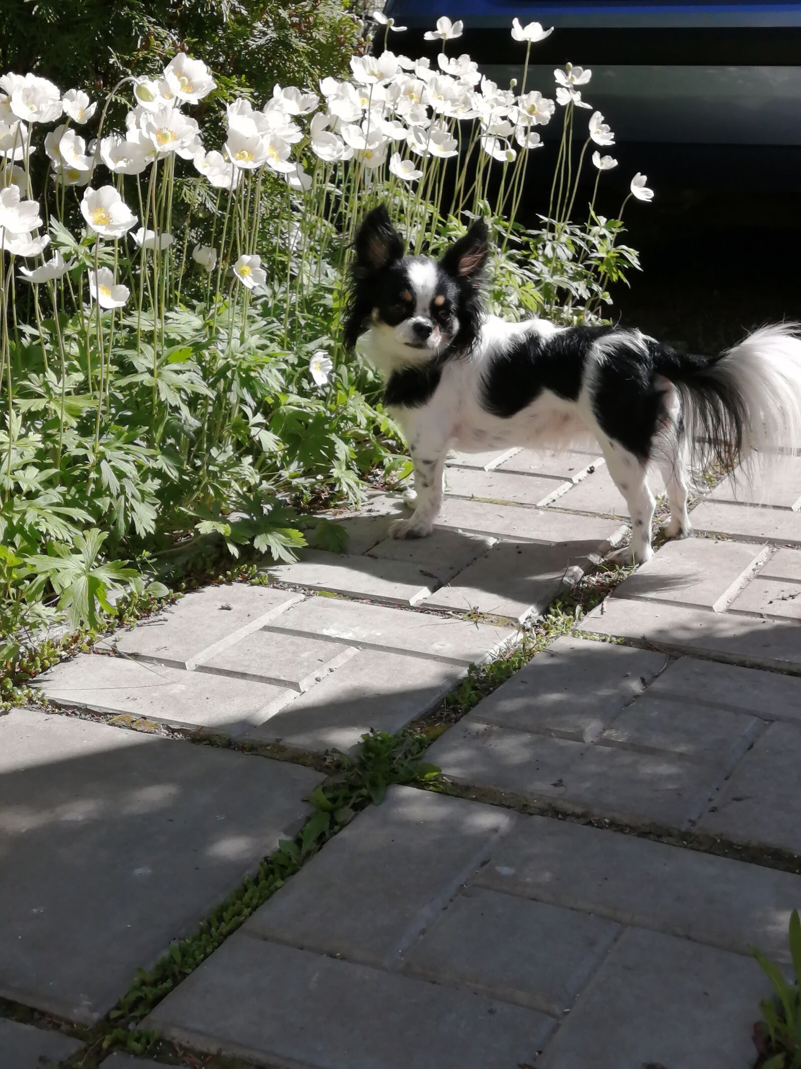 HUAWEI MAR-LX1M sample photo