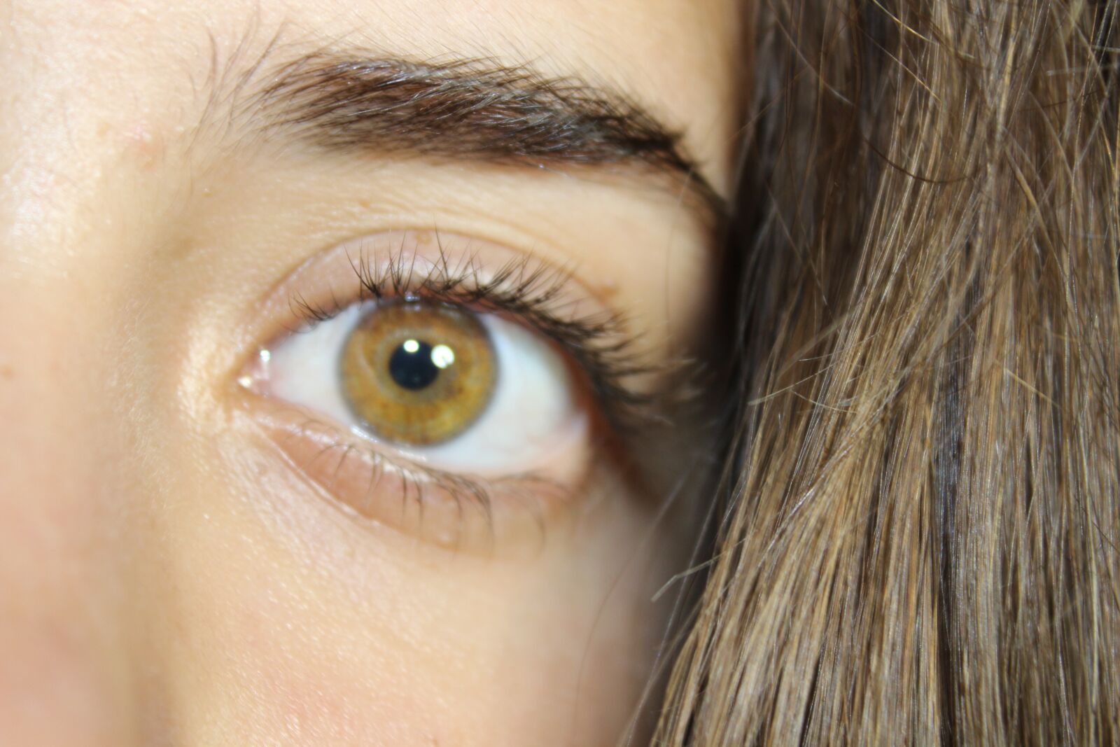 Canon EOS 600D (Rebel EOS T3i / EOS Kiss X5) sample photo. Eye, brown, photography photography