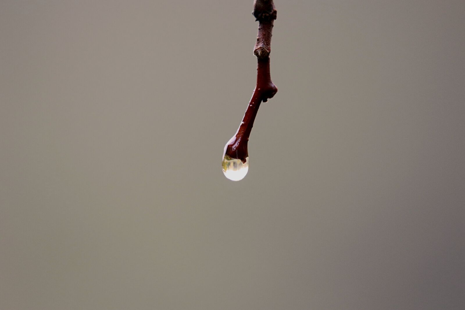 Canon EOS 7D Mark II sample photo. Drop, pearl, water photography