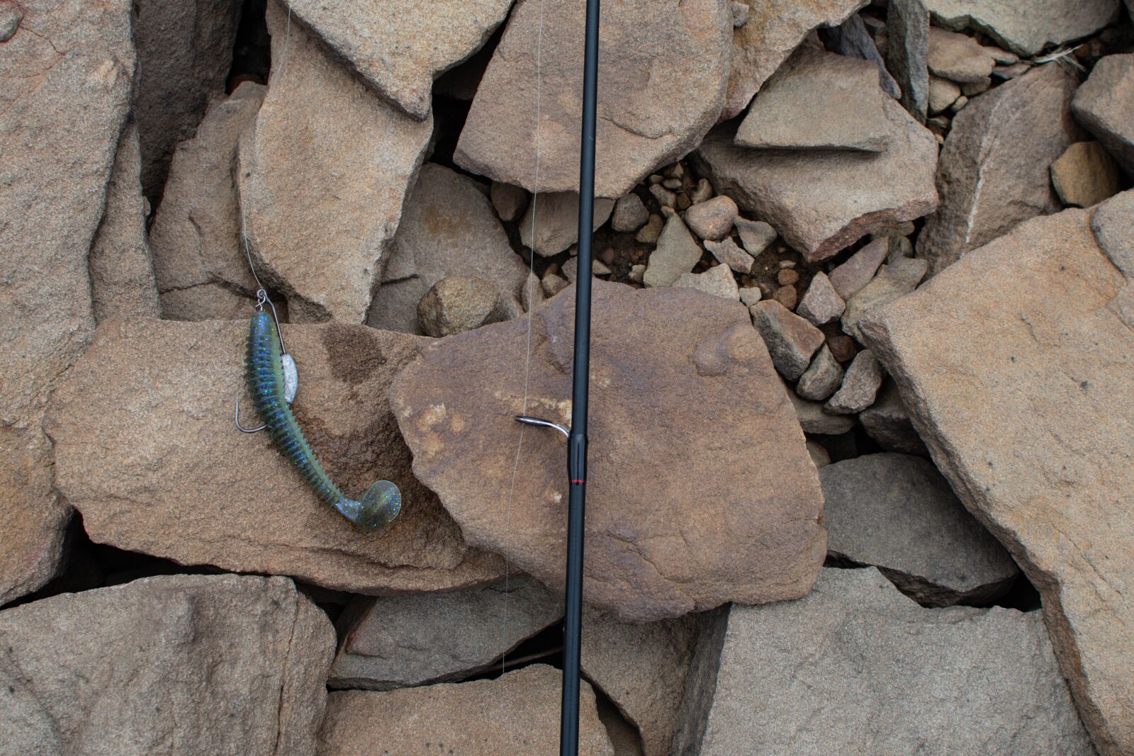 Nikon D500 sample photo. Swim bait, bait, fishing photography