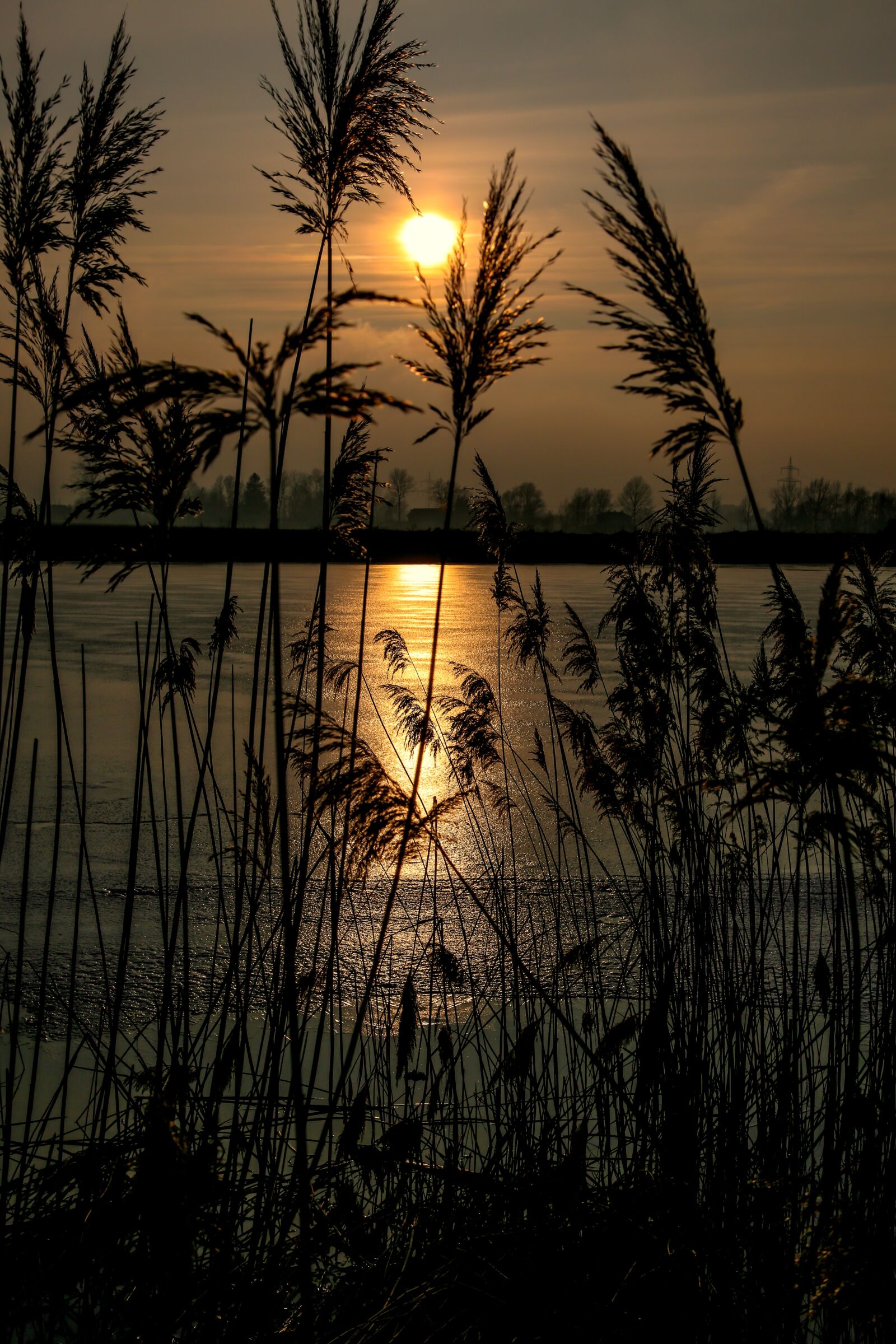 Canon EF 24-105mm F4L IS USM sample photo. Evening, sunset, sun photography