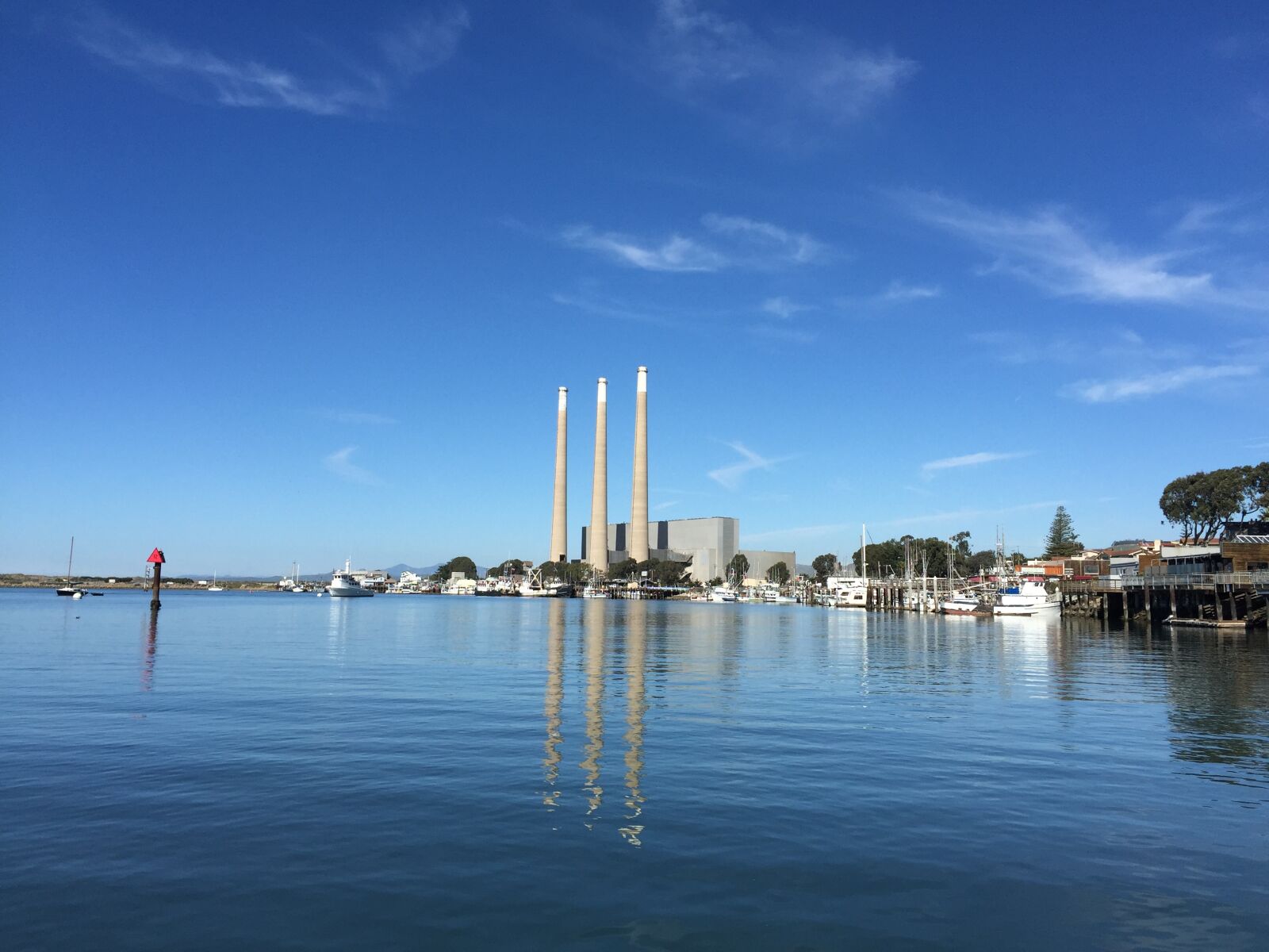 iPhone 6 Plus back camera 4.15mm f/2.2 sample photo. Power, plant, morro, bay photography