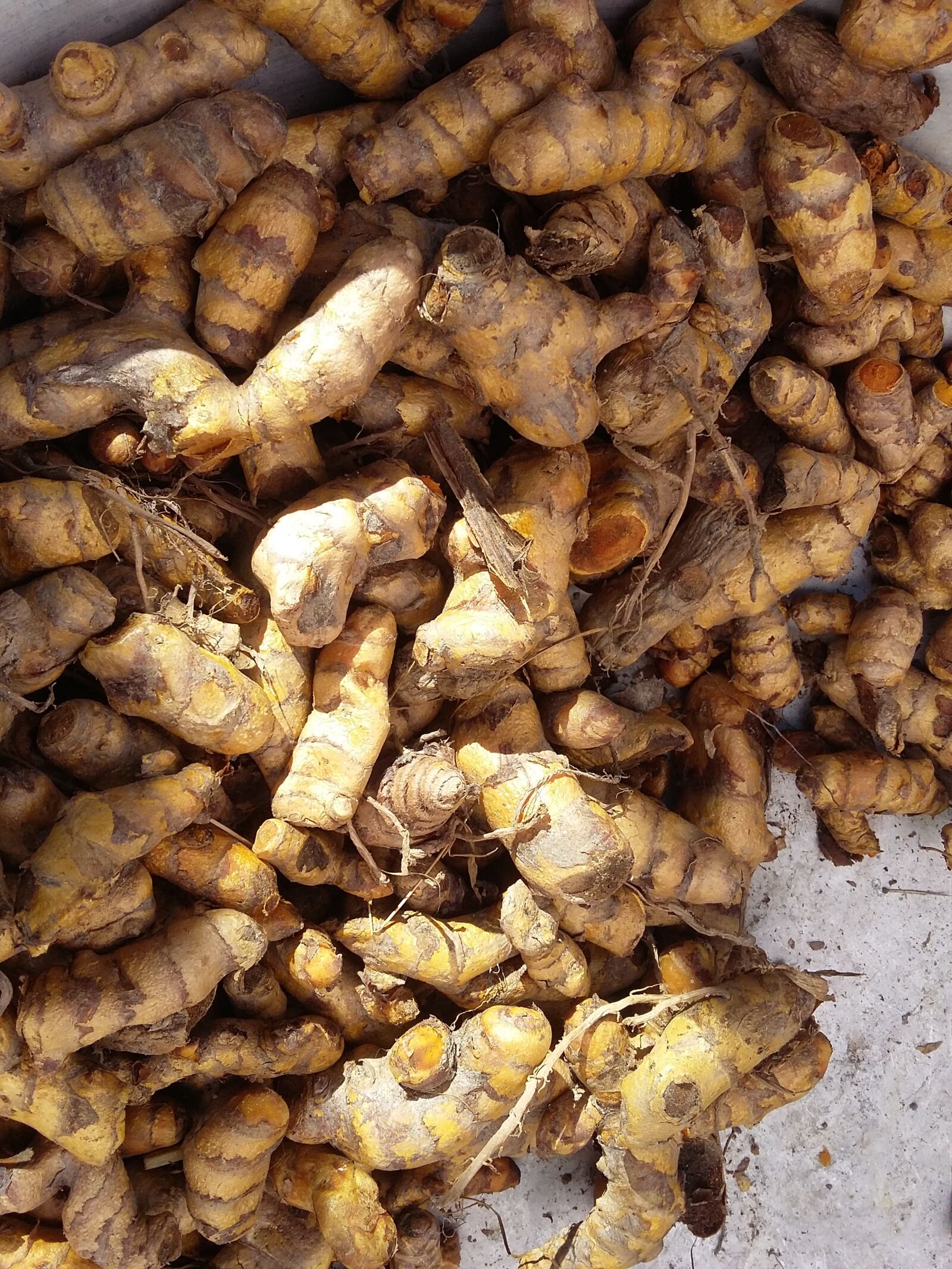 Samsung Galaxy Grand Prime sample photo. Turmeric, boiled, rustic setting photography