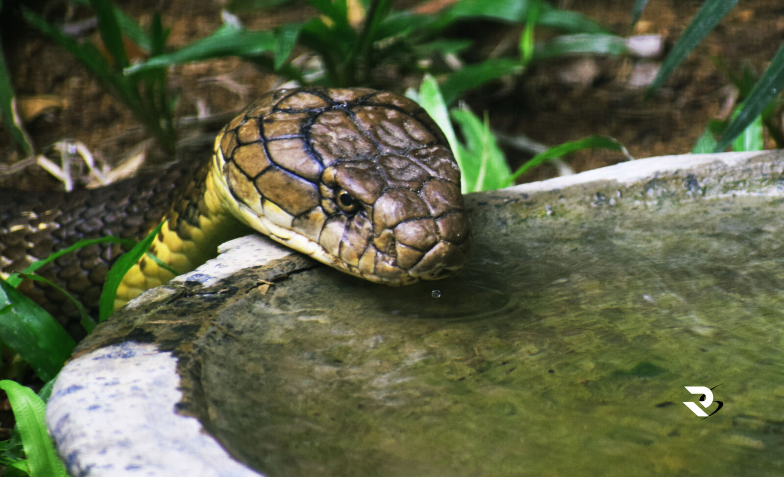 Nikon D3300 sample photo