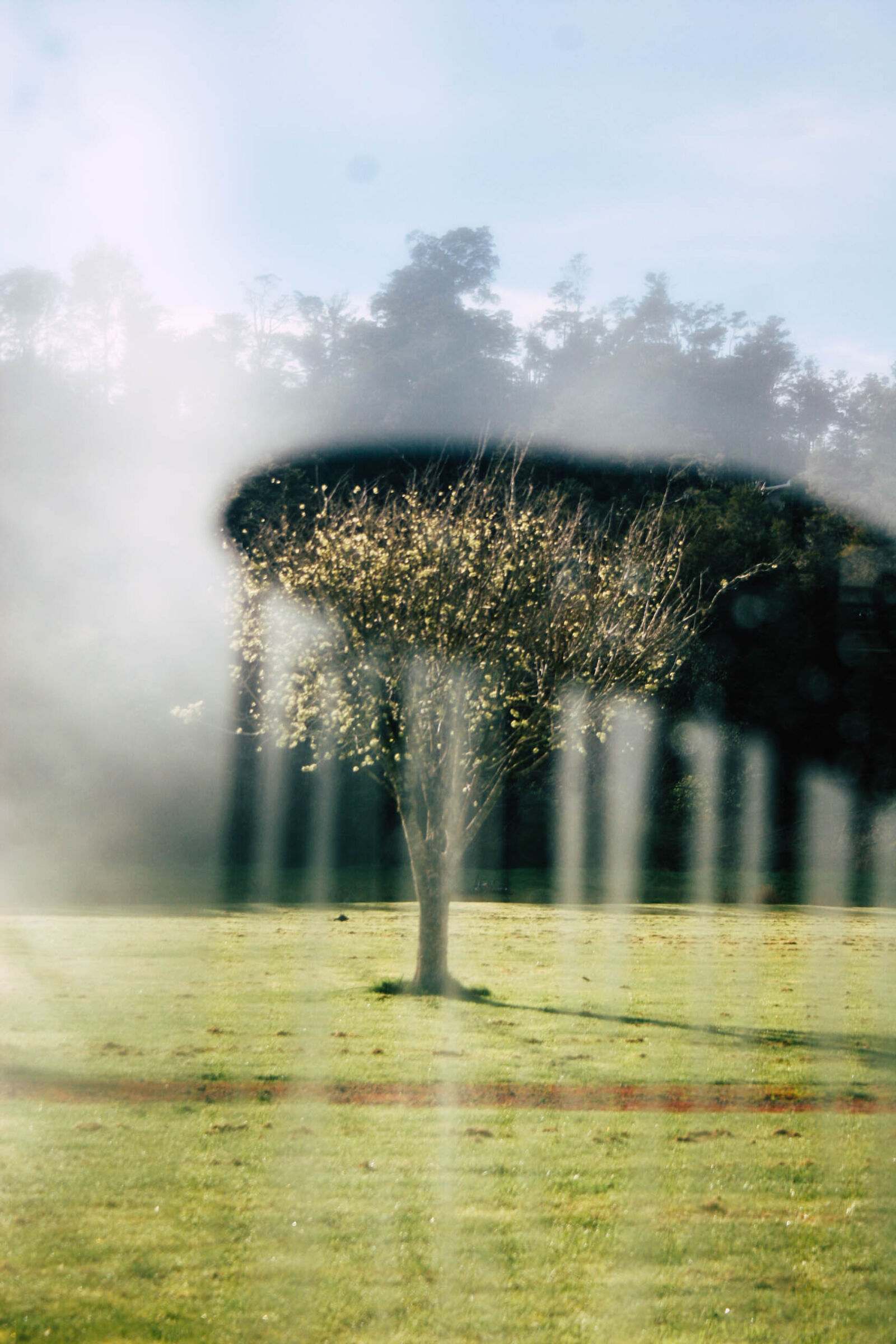 Canon EOS 20D sample photo. Display, window, garden, mist photography