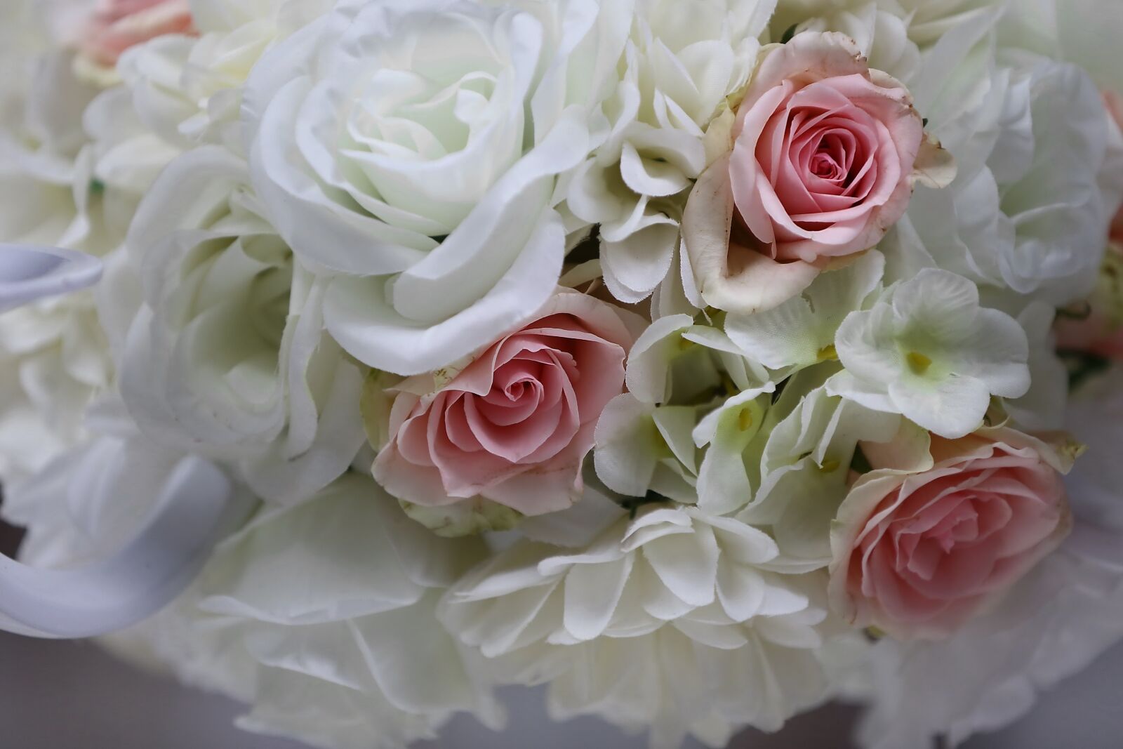 Canon EOS 6D sample photo. White flower, roses, pastel photography