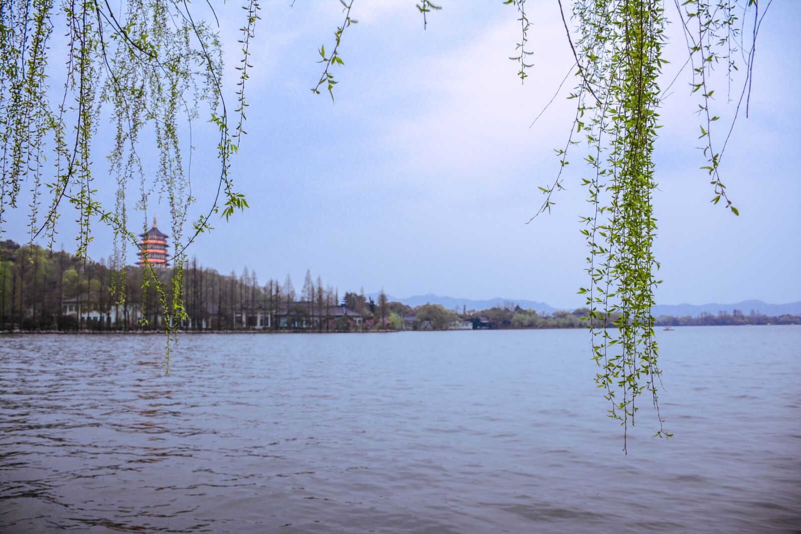 Nikon D7100 sample photo. Lakefront, weeping willow, lake photography