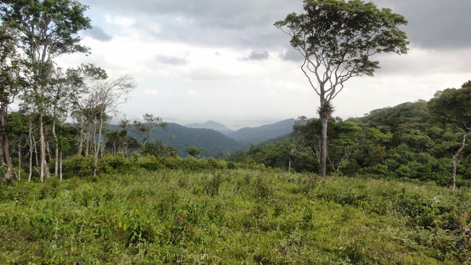 Sony DSC-HX5V sample photo. Nature, serra, mountain photography