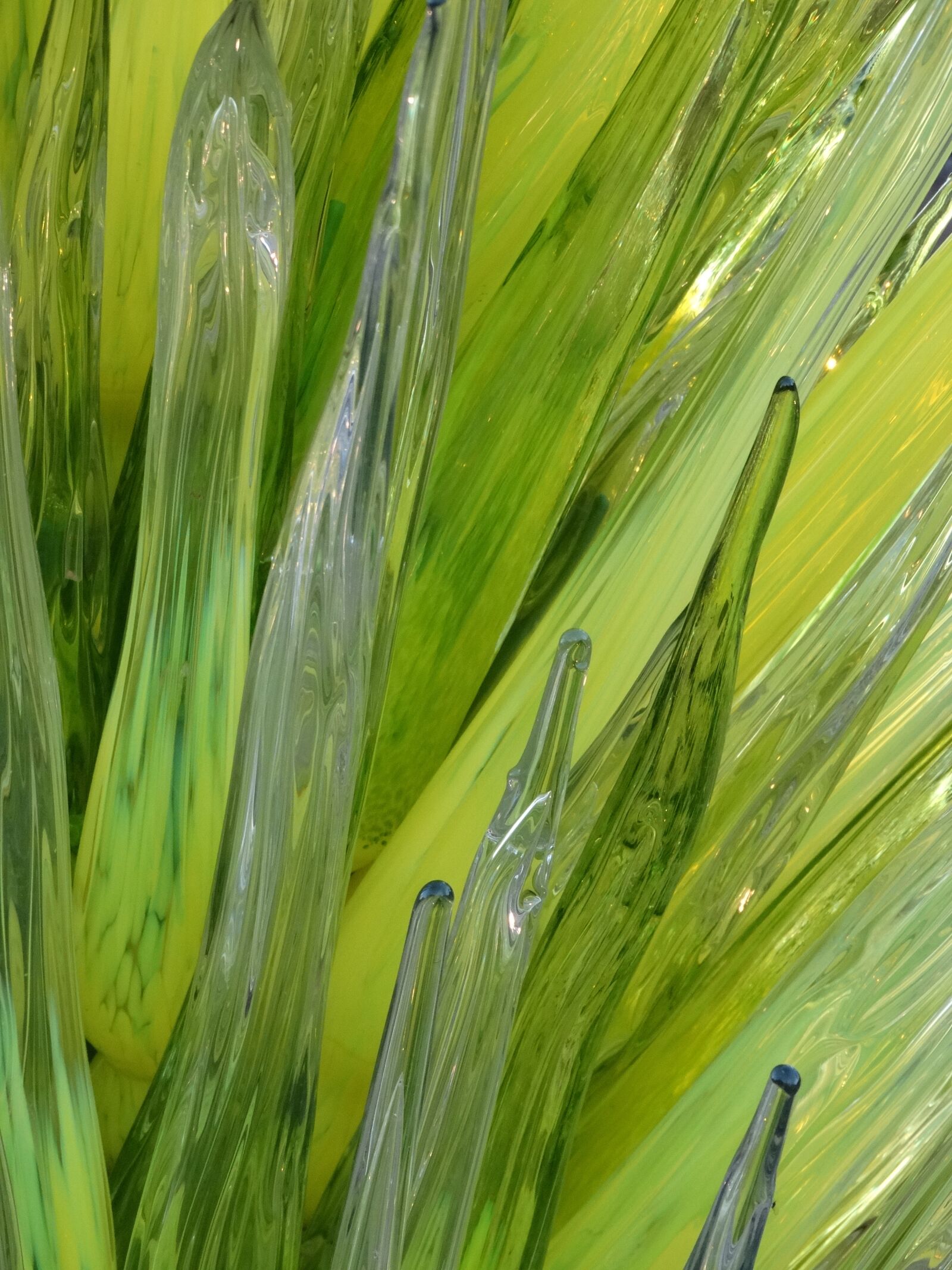 Sony Cyber-shot DSC-HX300 sample photo. Art glass, chihuly, green photography