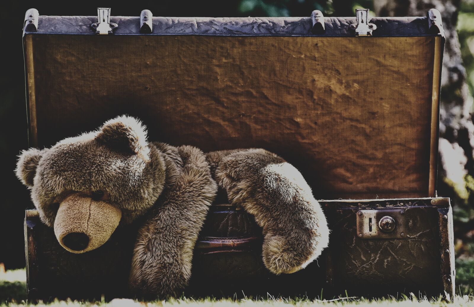 Nikon D7200 sample photo. Luggage, antique, teddy photography