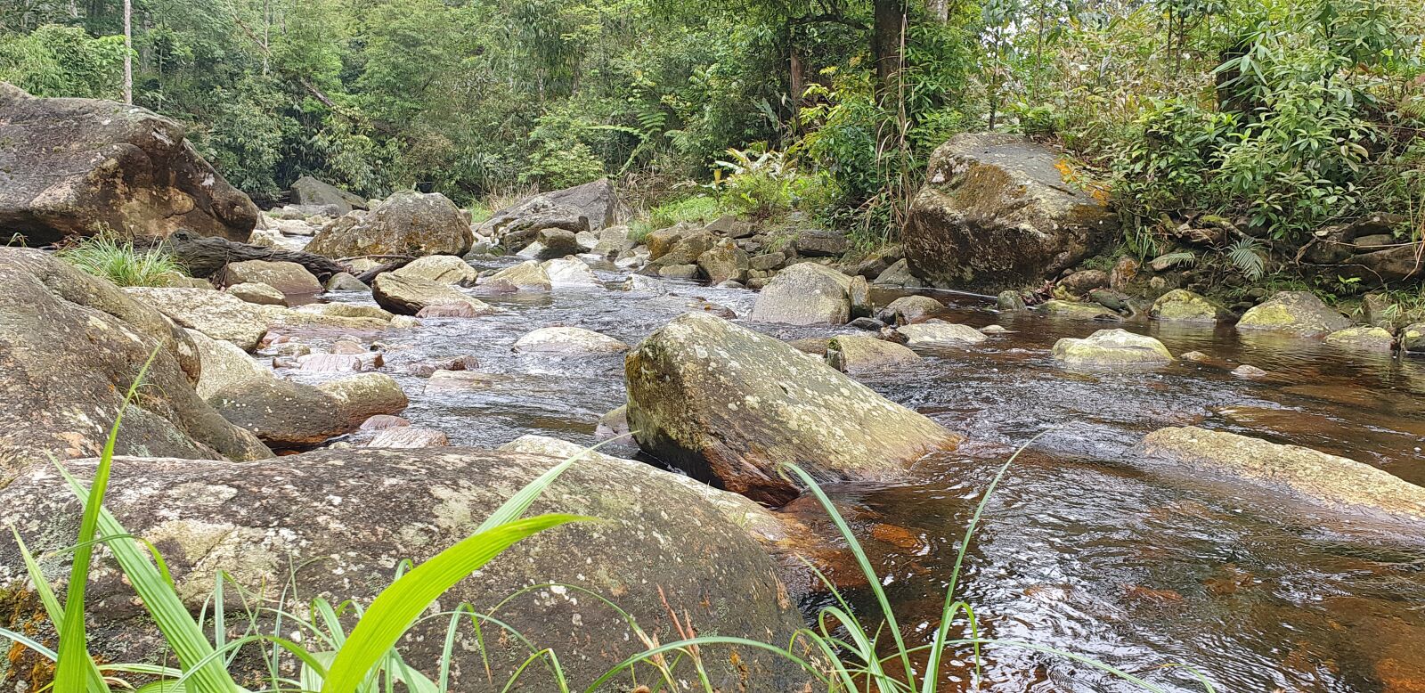 Samsung Galaxy Note9 sample photo. Scenery, mountain, stream photography