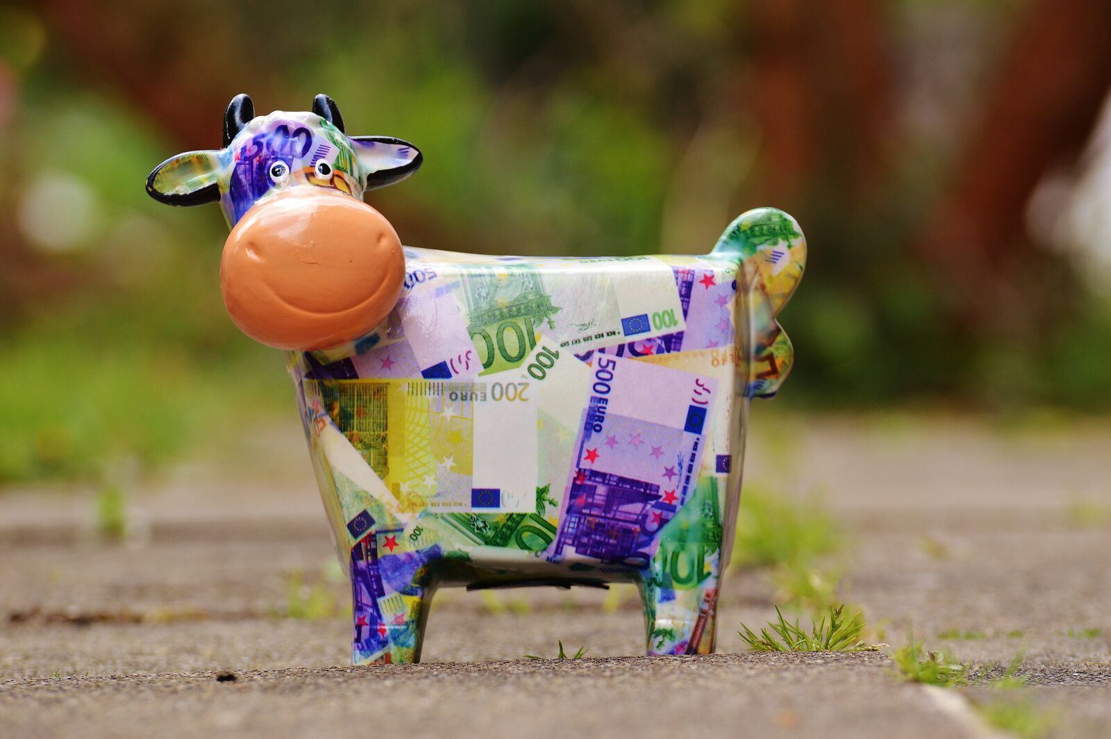 Nikon D3200 sample photo. Cow, save, money photography