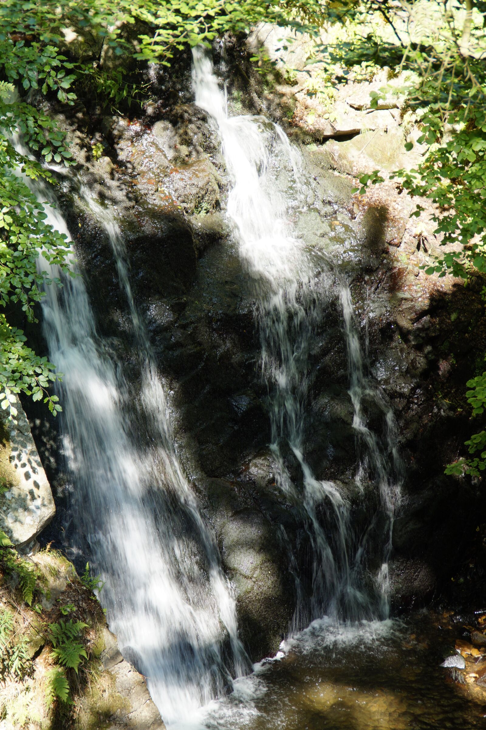 Sony SLT-A58 sample photo. Waterfall, forest, sweden photography