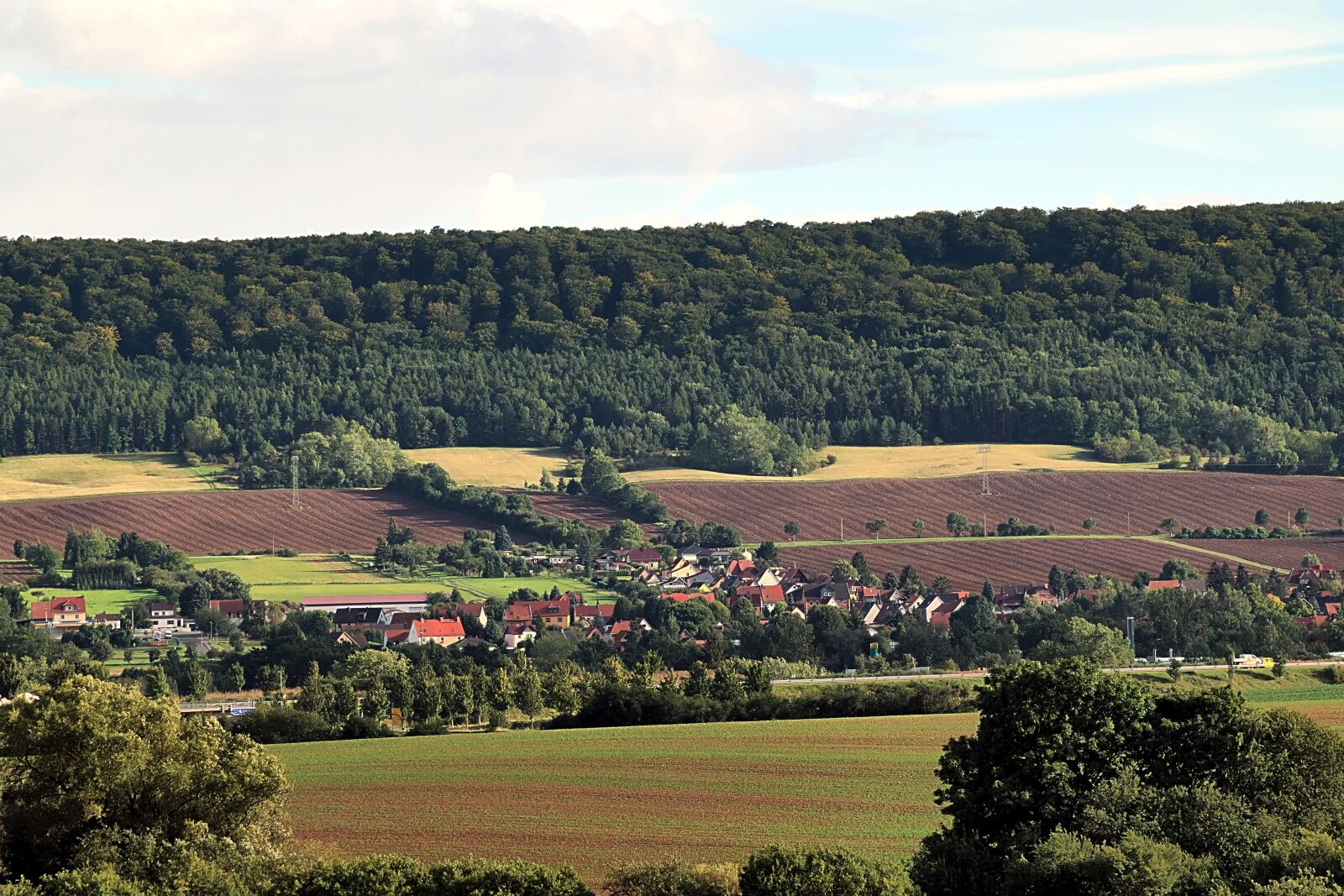 Nikon D3300 sample photo. Landscape, fields, forest photography