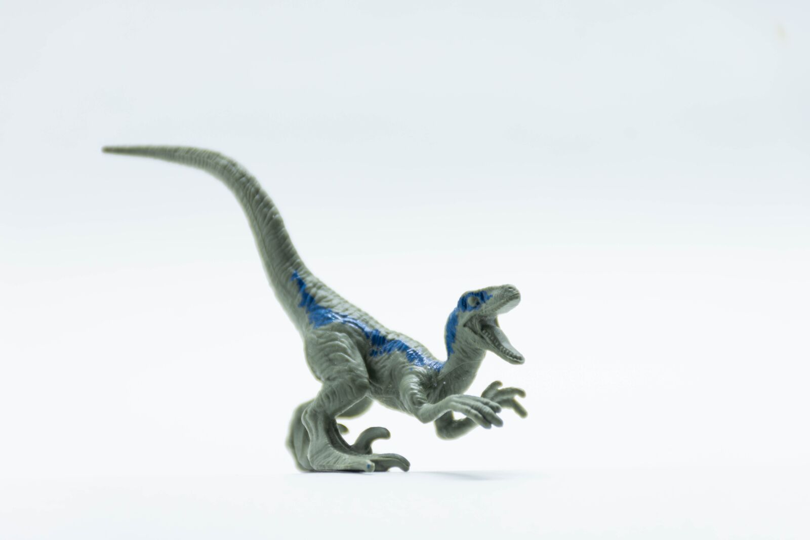 Nikon D7200 sample photo. Velociraptor, dinosaur, miniature photography
