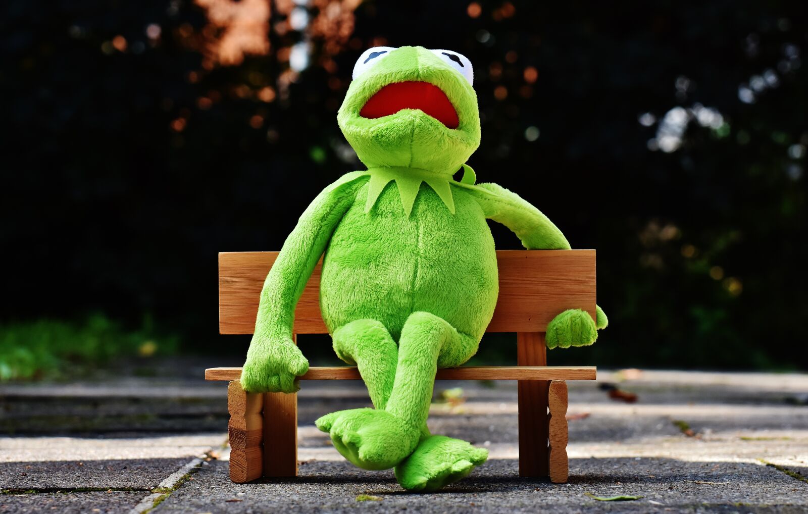 Nikon D7200 sample photo. Kermit, frog, bank photography