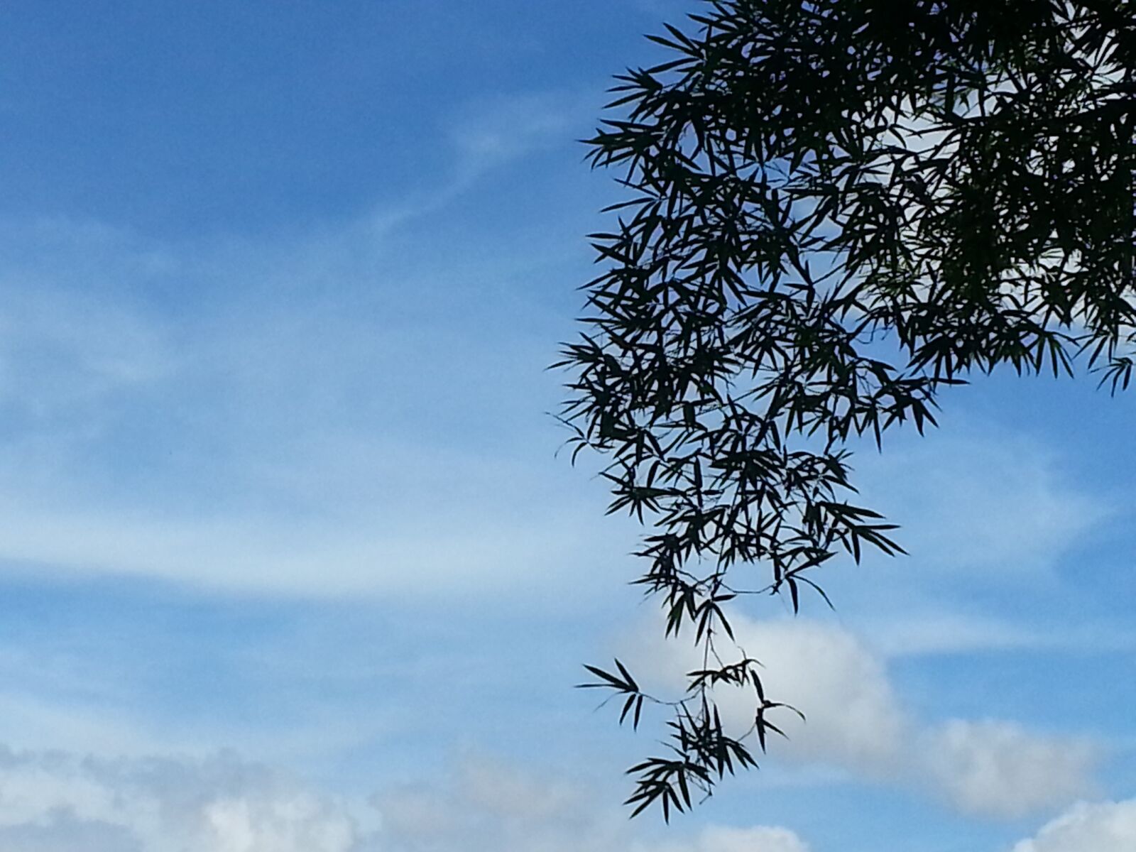 Samsung Galaxy S3 sample photo. Sky, nature, clouds photography