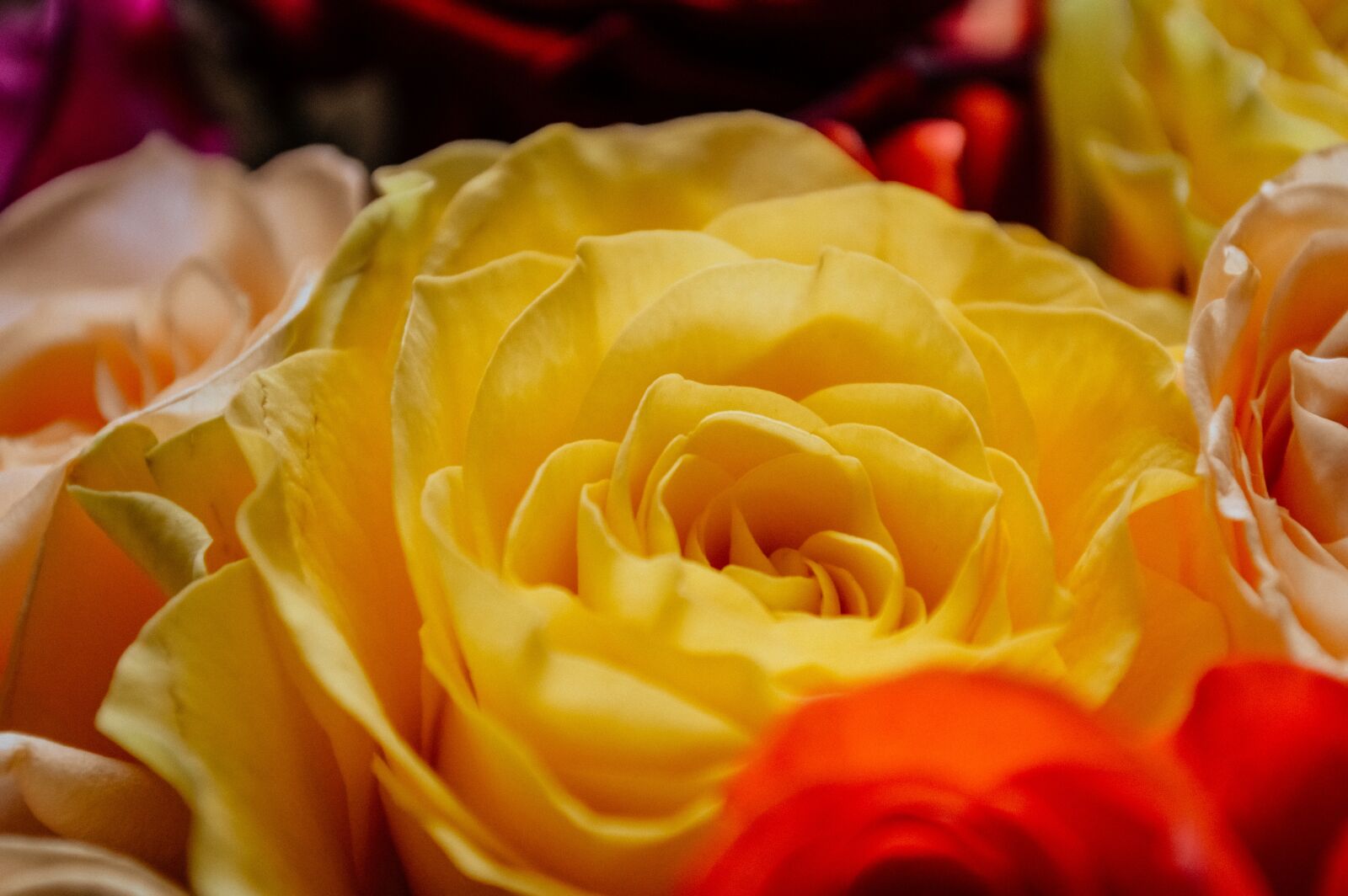 Nikon D3200 sample photo. International women's day, march photography