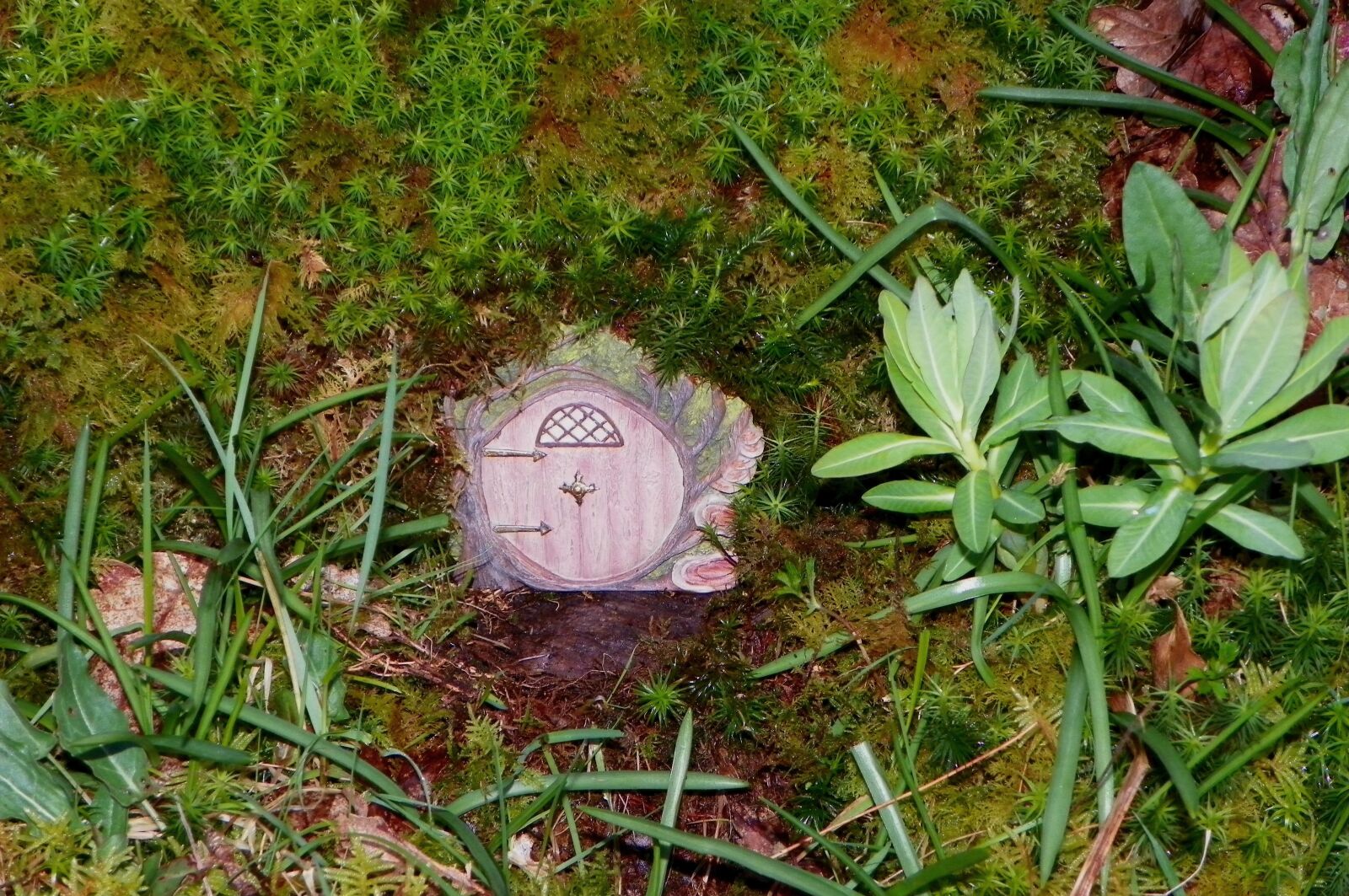 Kodak EasyShare Z981 sample photo. Fairy, door, fairy door photography