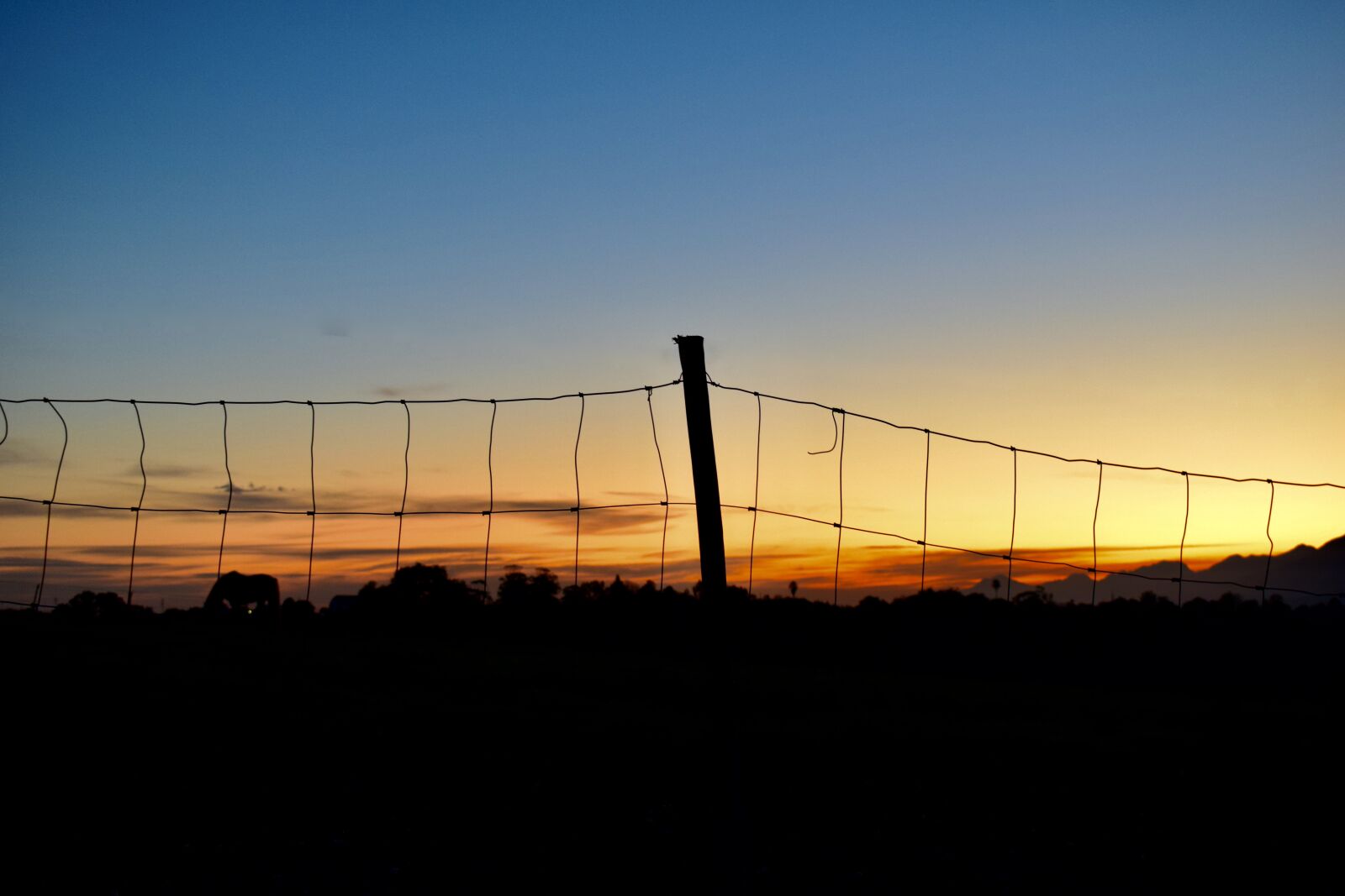 Nikon D5300 sample photo. Sunset, fence, silhouette photography