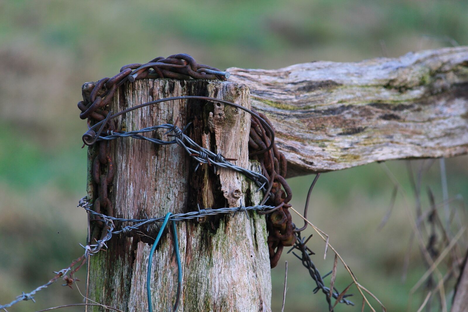 Canon EOS 1200D (EOS Rebel T5 / EOS Kiss X70 / EOS Hi) sample photo. Old, fence, weathered photography