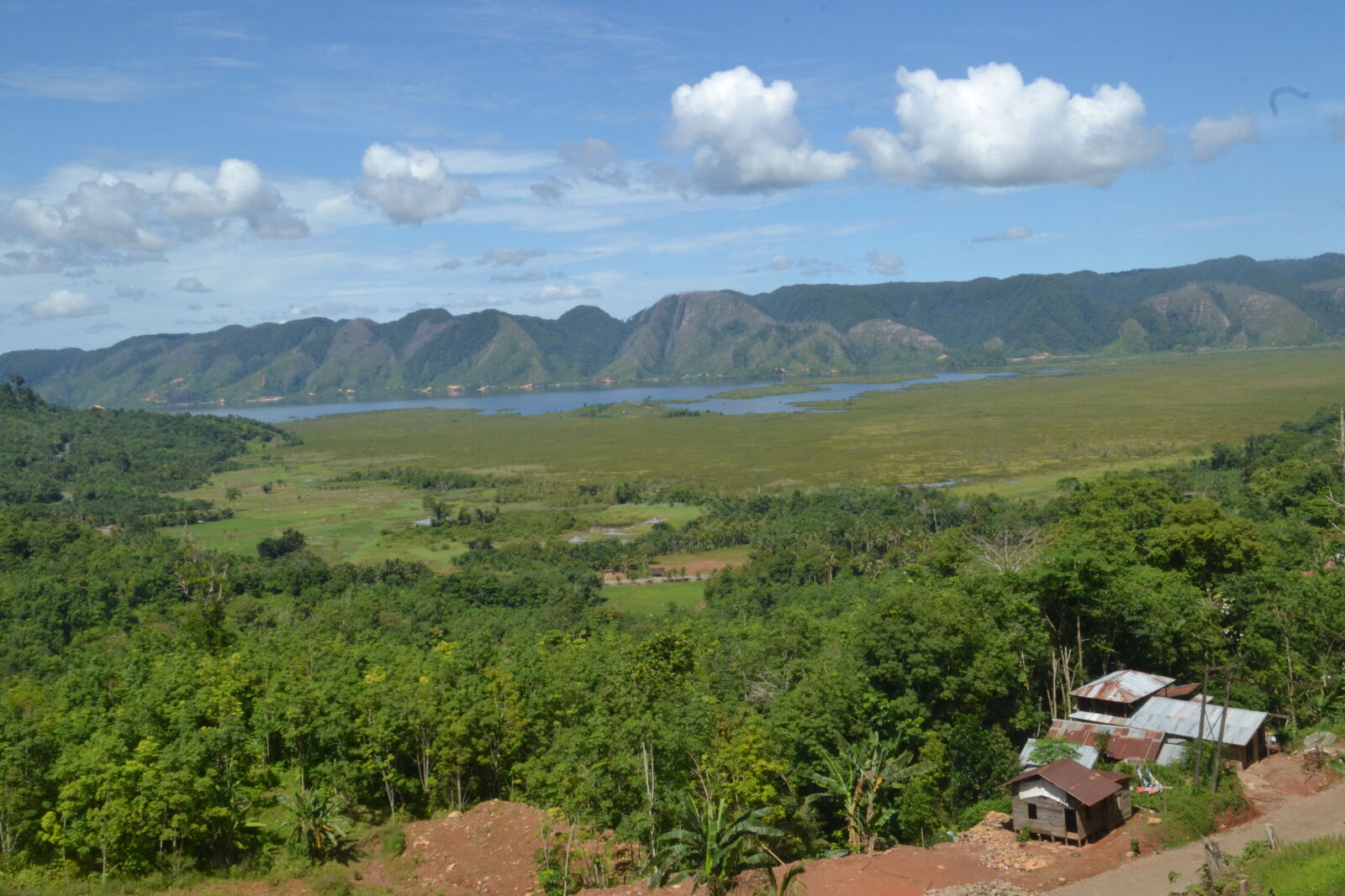 Nikon D3100 sample photo
