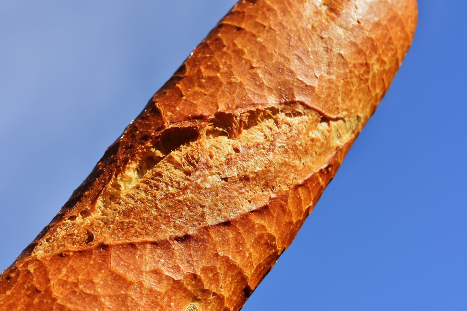 Nikon D7200 sample photo. Baguette, bread, baked goods photography