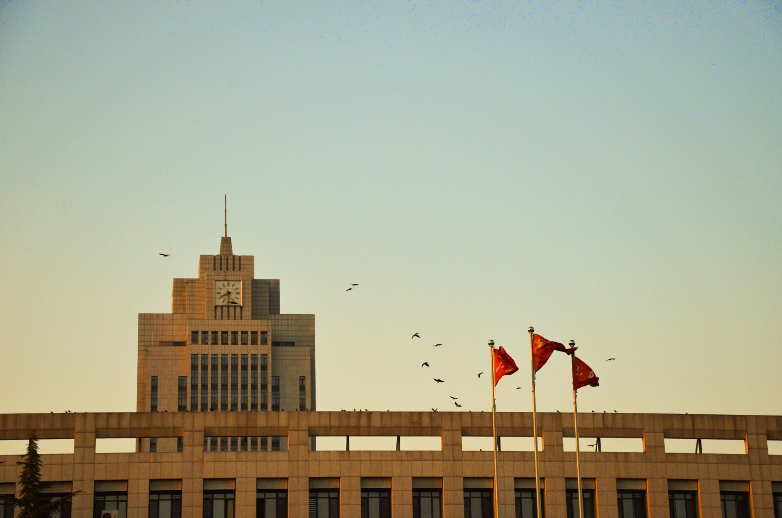 Nikon D7000 sample photo. Shandong university, known the photography