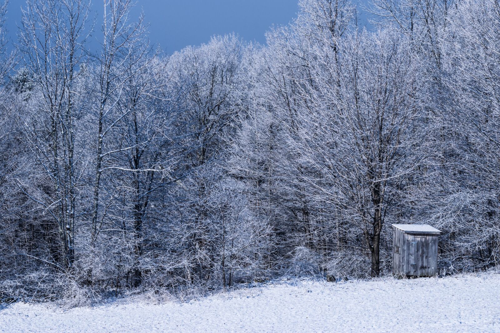 Nikon D3300 sample photo. Winter, snow, frost photography