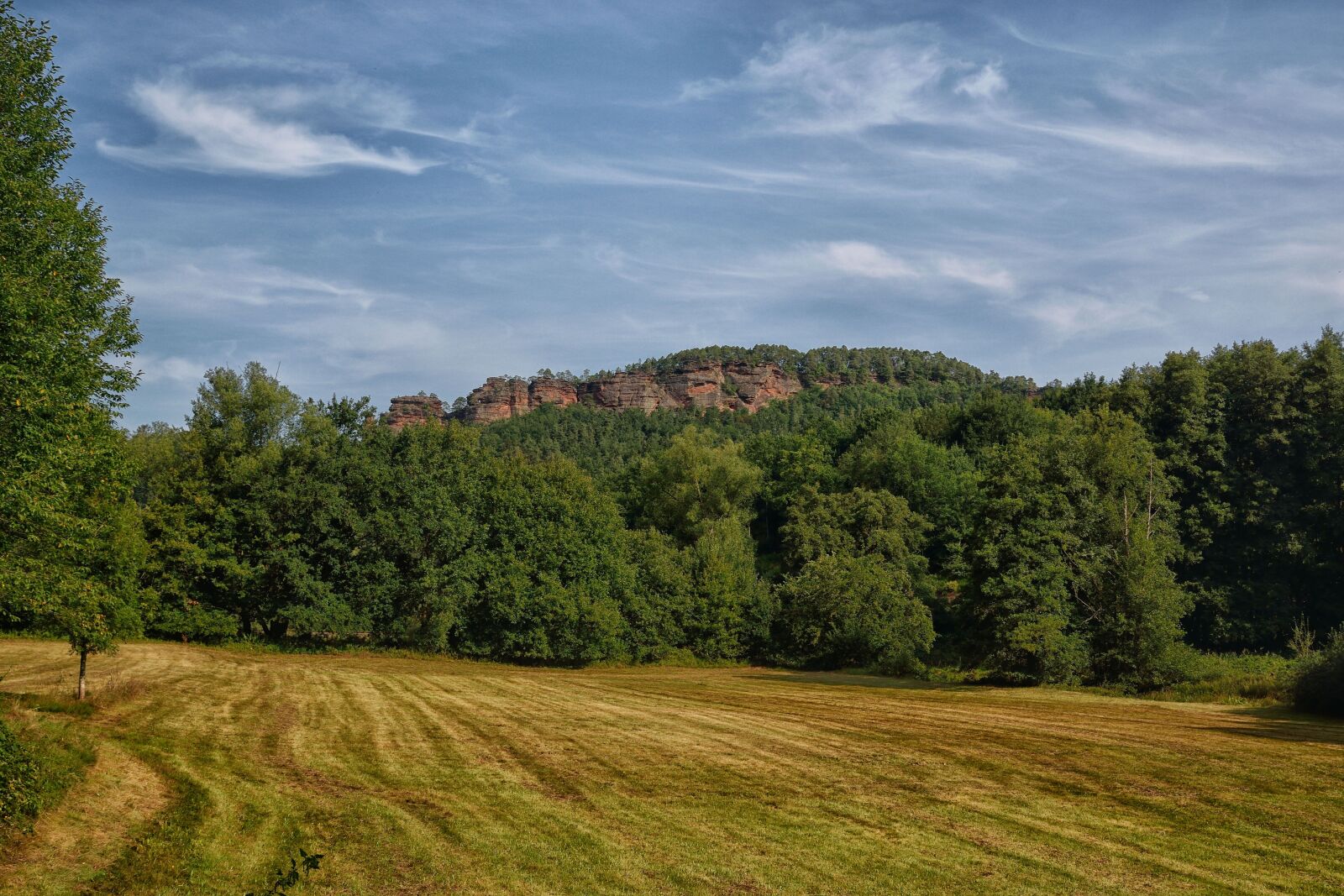 Nikon D5300 sample photo. The dahner felsenland, green photography