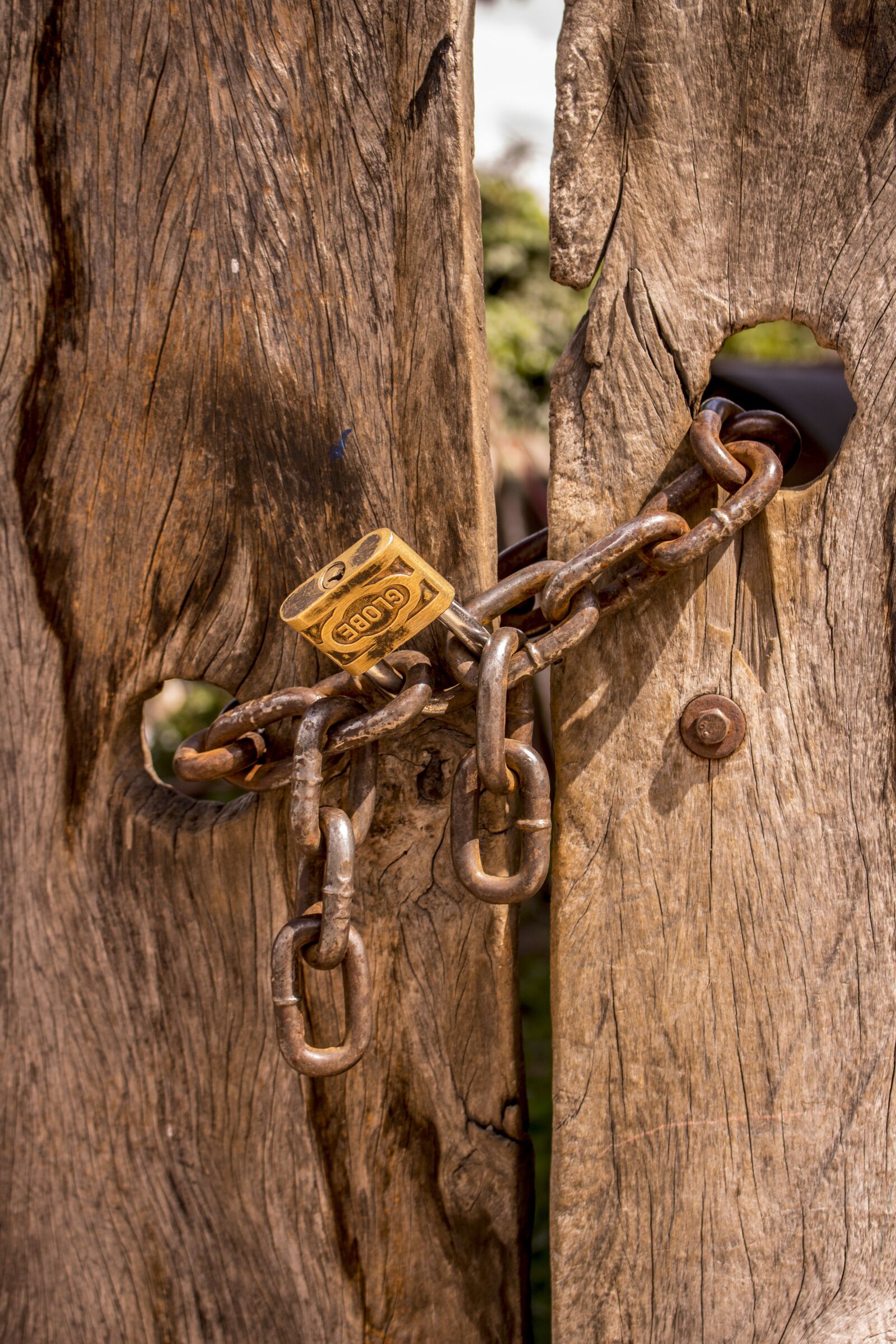 Canon EOS 700D (EOS Rebel T5i / EOS Kiss X7i) sample photo. Chains, doors, old doors photography