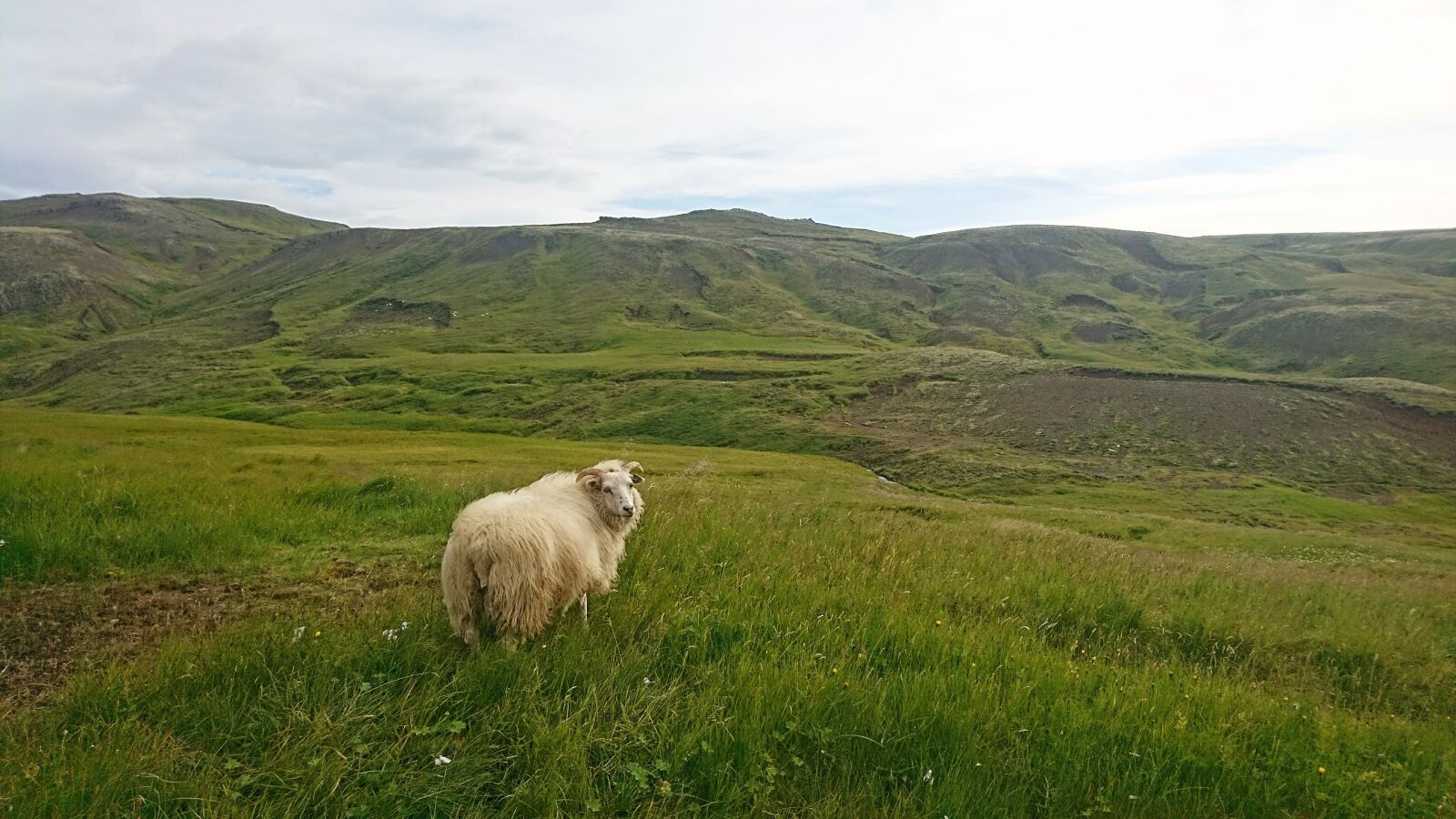 Sony Xperia X Compact sample photo. Nature, iceland, travel photography