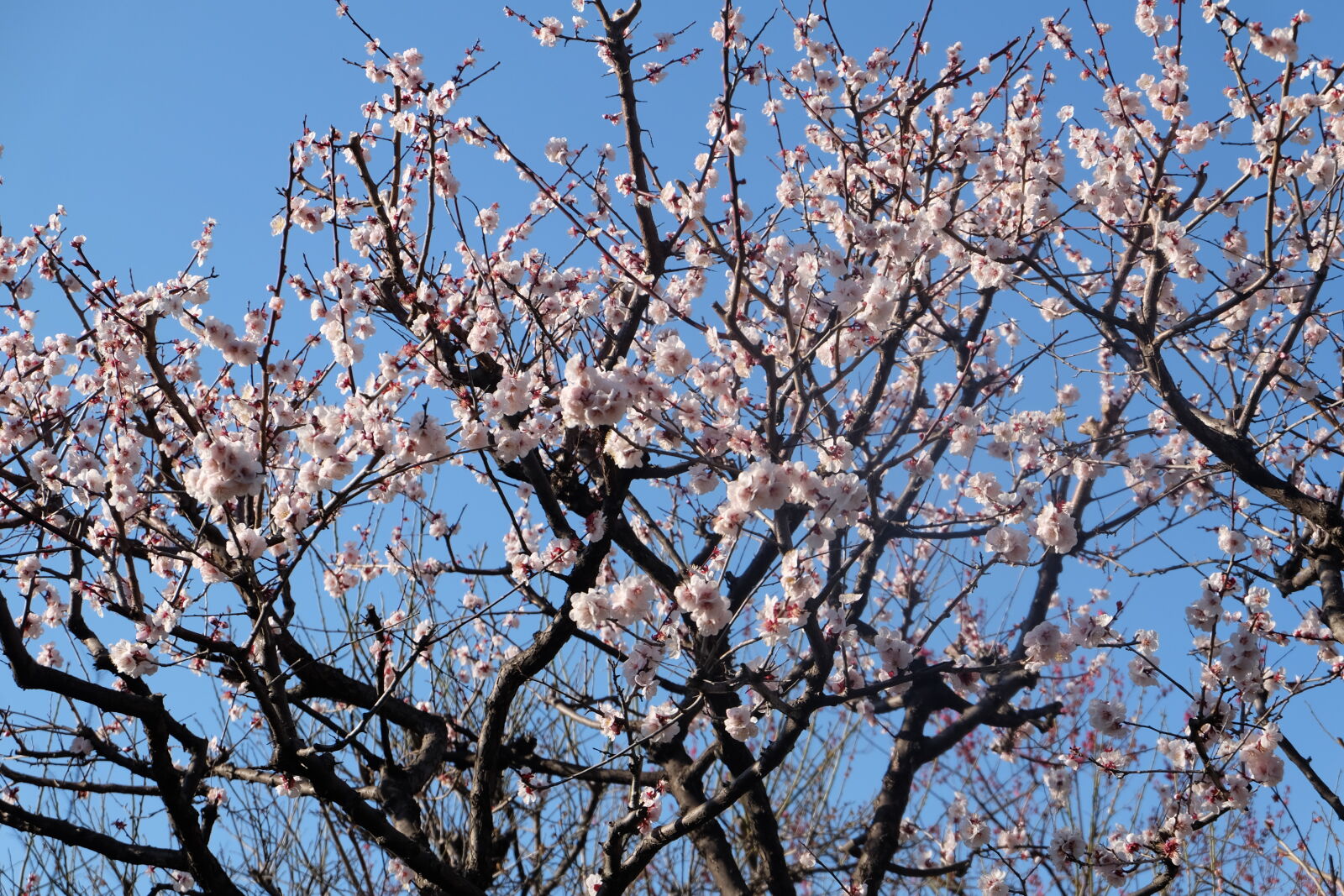 Fujifilm X-M1 sample photo