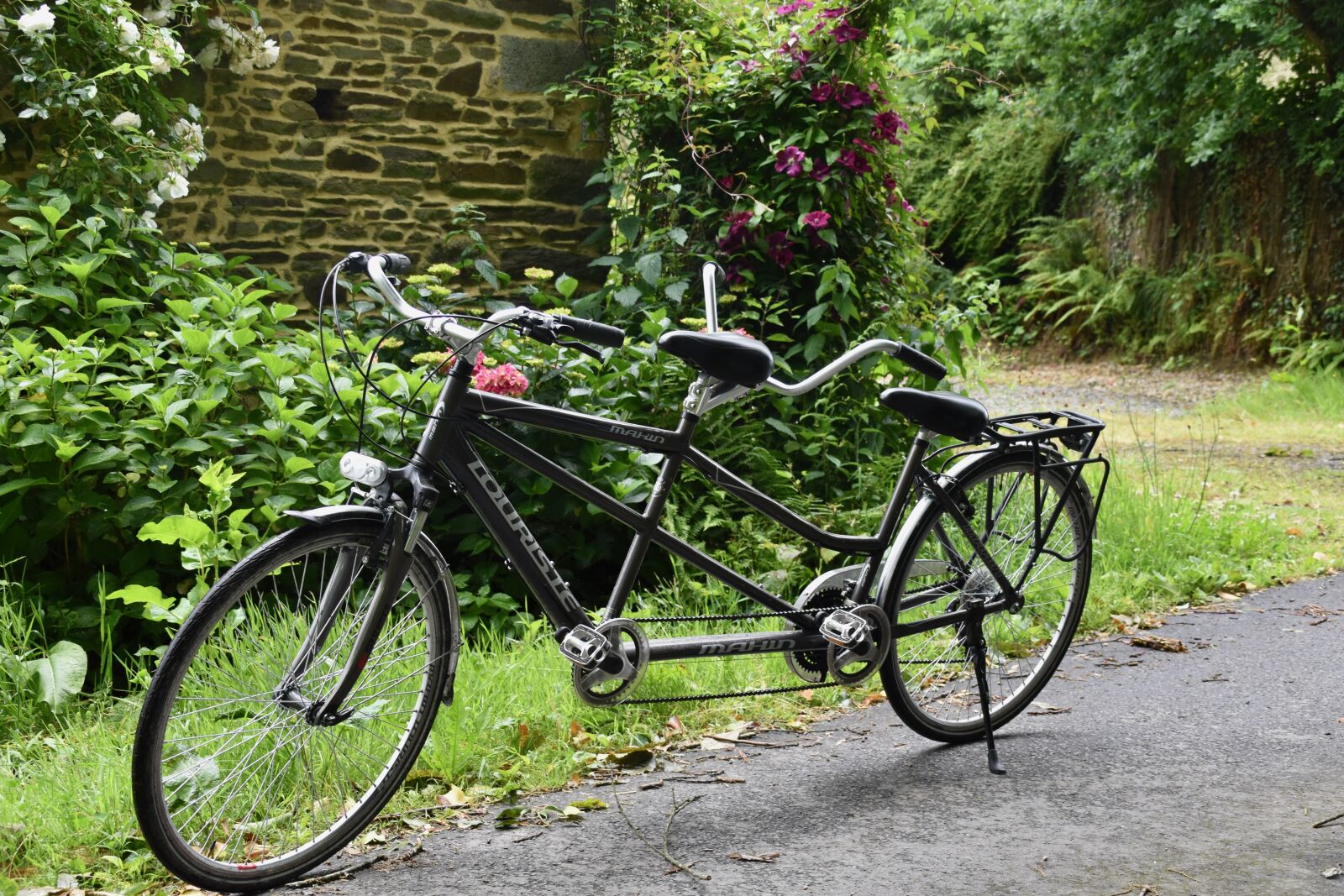 Nikon D5600 sample photo. Tandem bike, bike tandem photography
