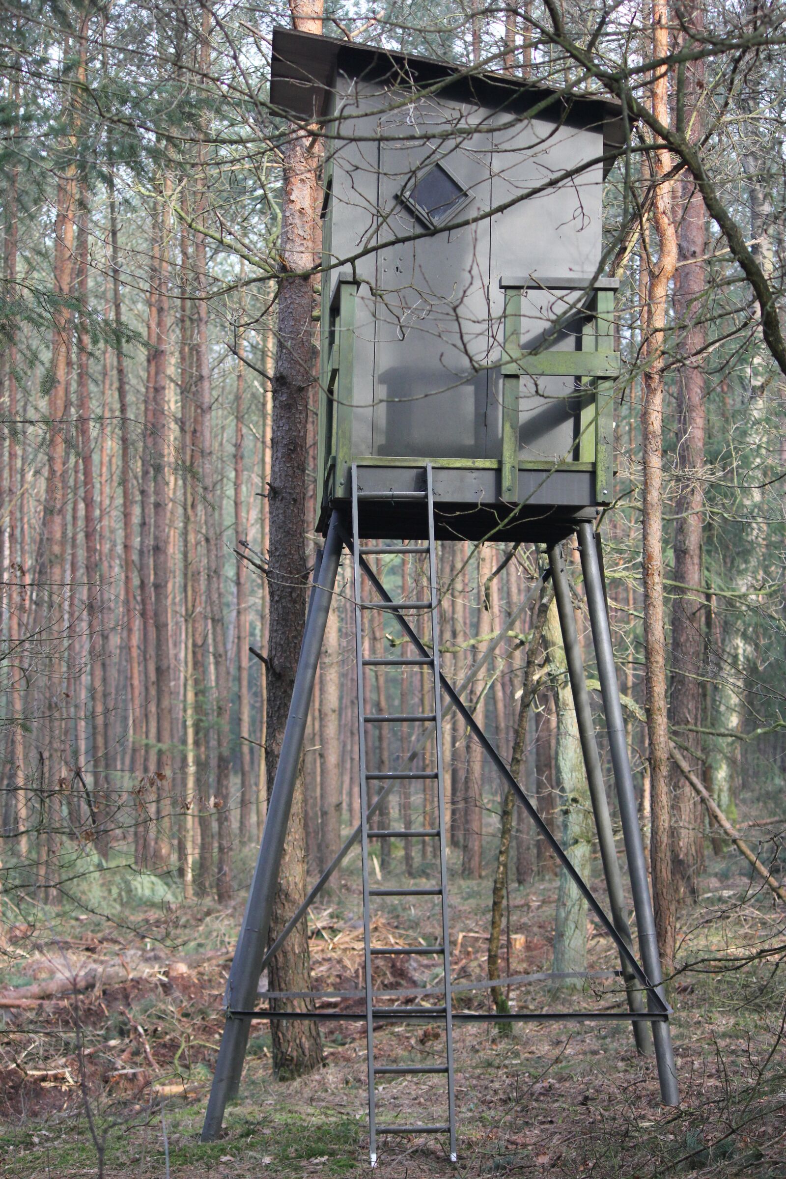 Canon EF-S 55-250mm F4-5.6 IS II sample photo. Hunting lodge, veluwe, willemsbos photography