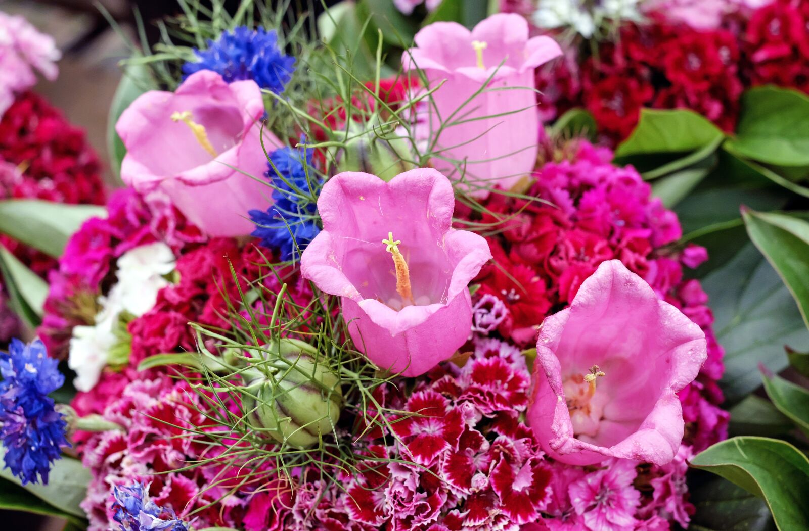 Fujifilm X-T10 + Fujifilm XF 35mm F1.4 R sample photo. Bouquet of flowers, bouquets photography