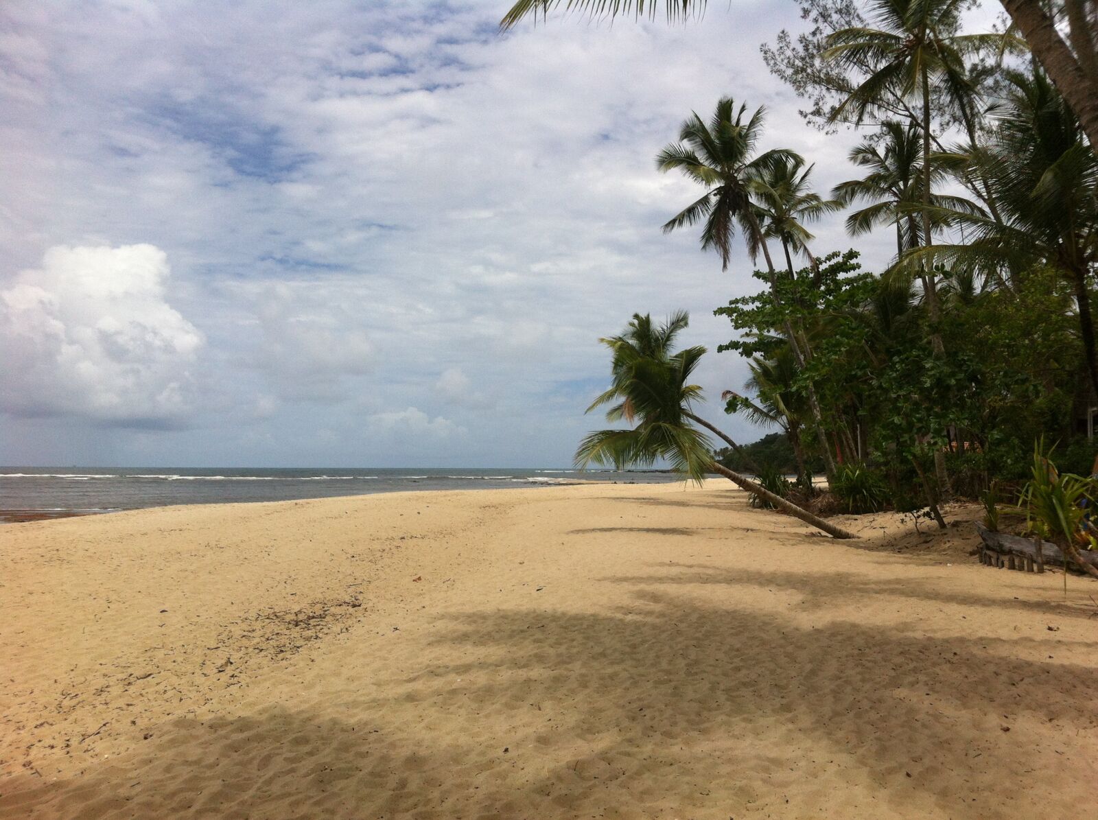 Apple iPhone 4 sample photo. Brazilwood, boipeba, beach photography