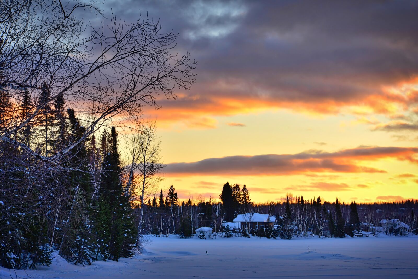 Nikon D610 sample photo. Winter landscape, nature, winter photography