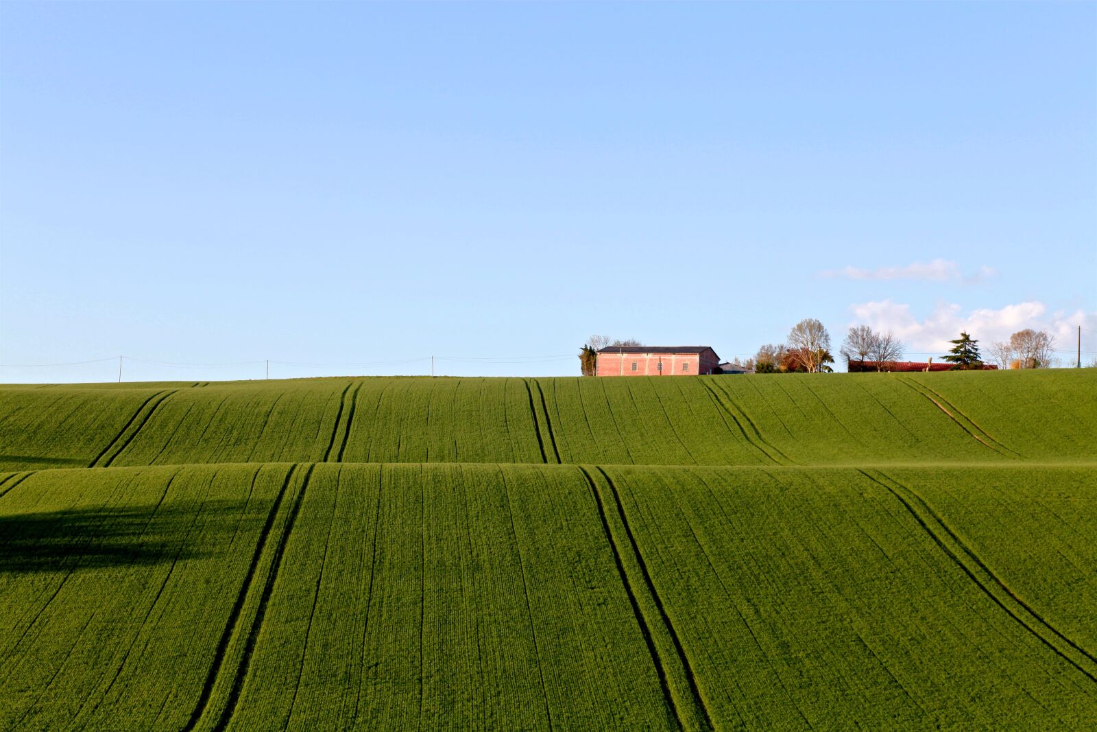 Canon EOS 5D Mark II sample photo. Field, agriculture, farm photography