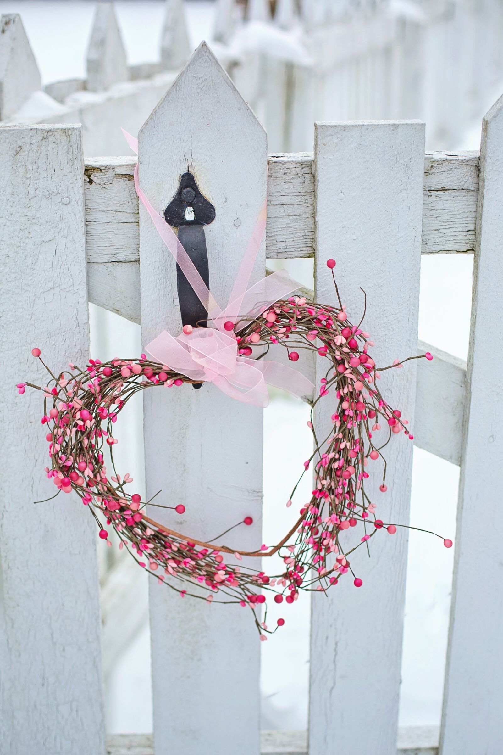 Canon EF 50mm F1.4 USM sample photo. Valentine's day, valentine, heart photography