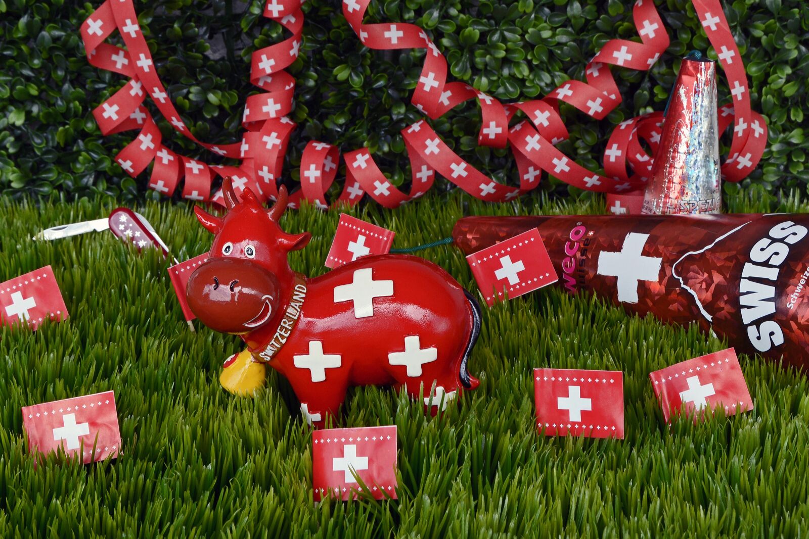 Nikon D7100 sample photo. National day, switzerland, celebrate photography