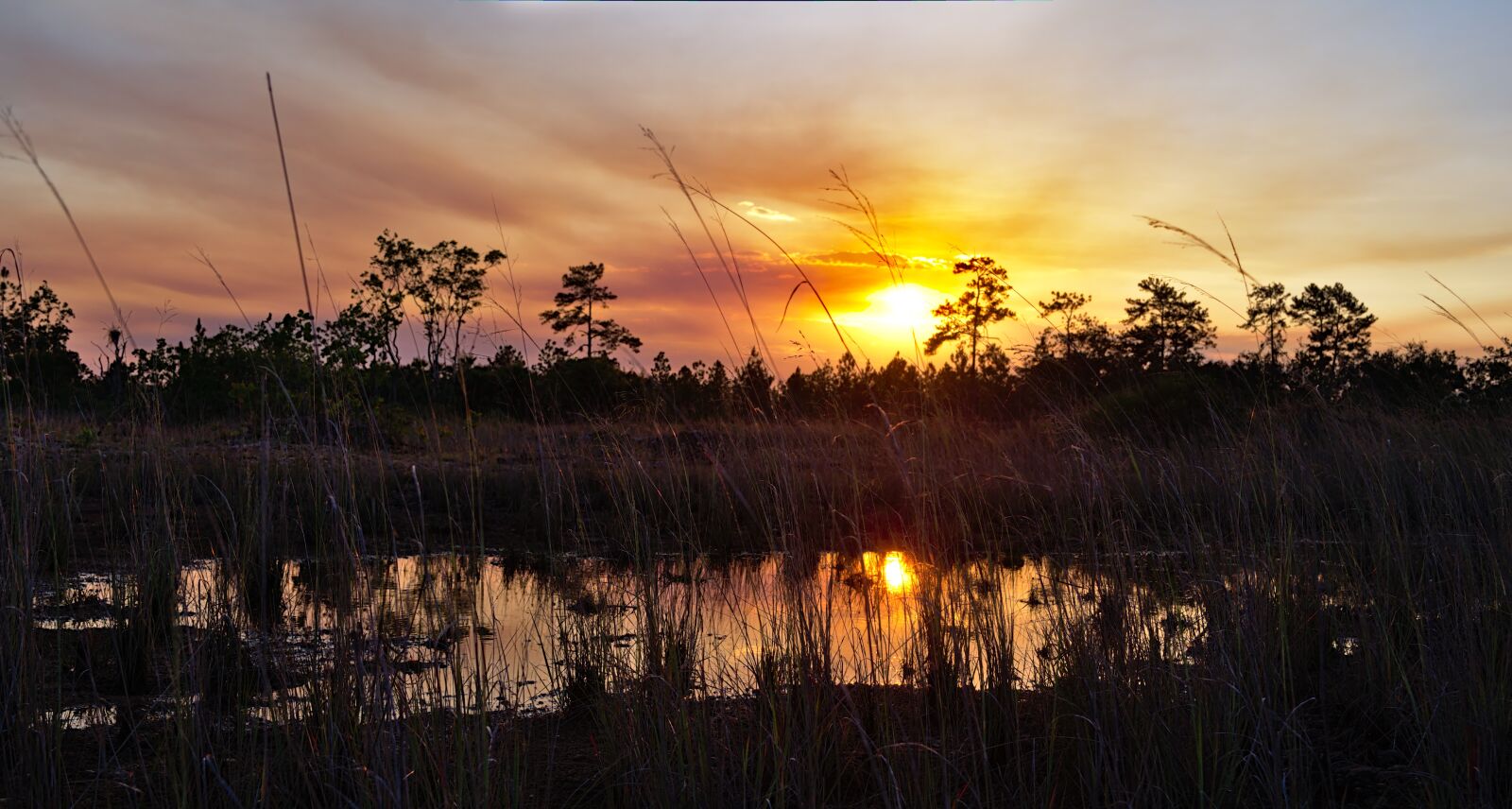 Nikon D7200 sample photo. Sunset, dawn, nature photography